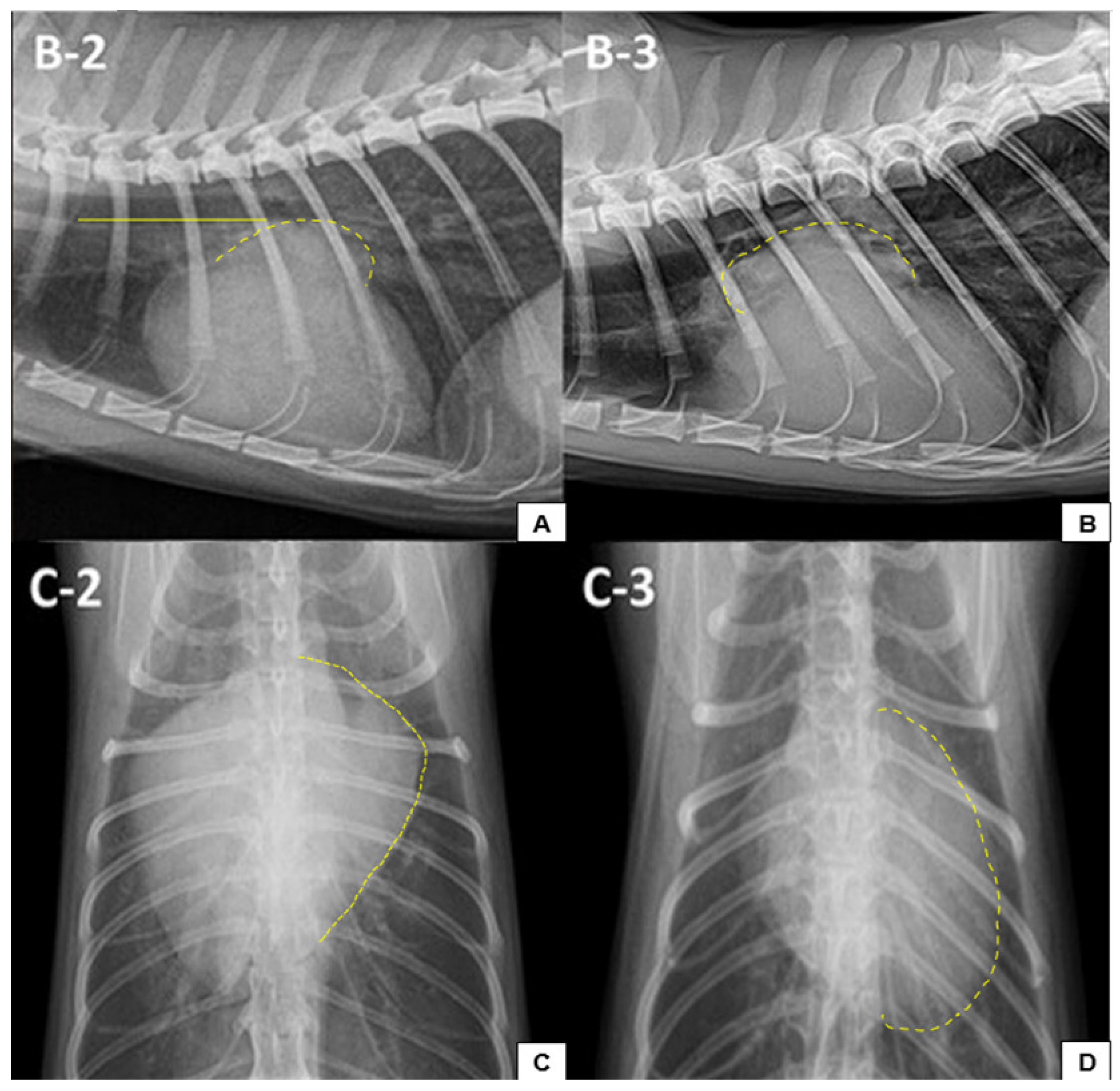 Vetsci 12 00289 g003