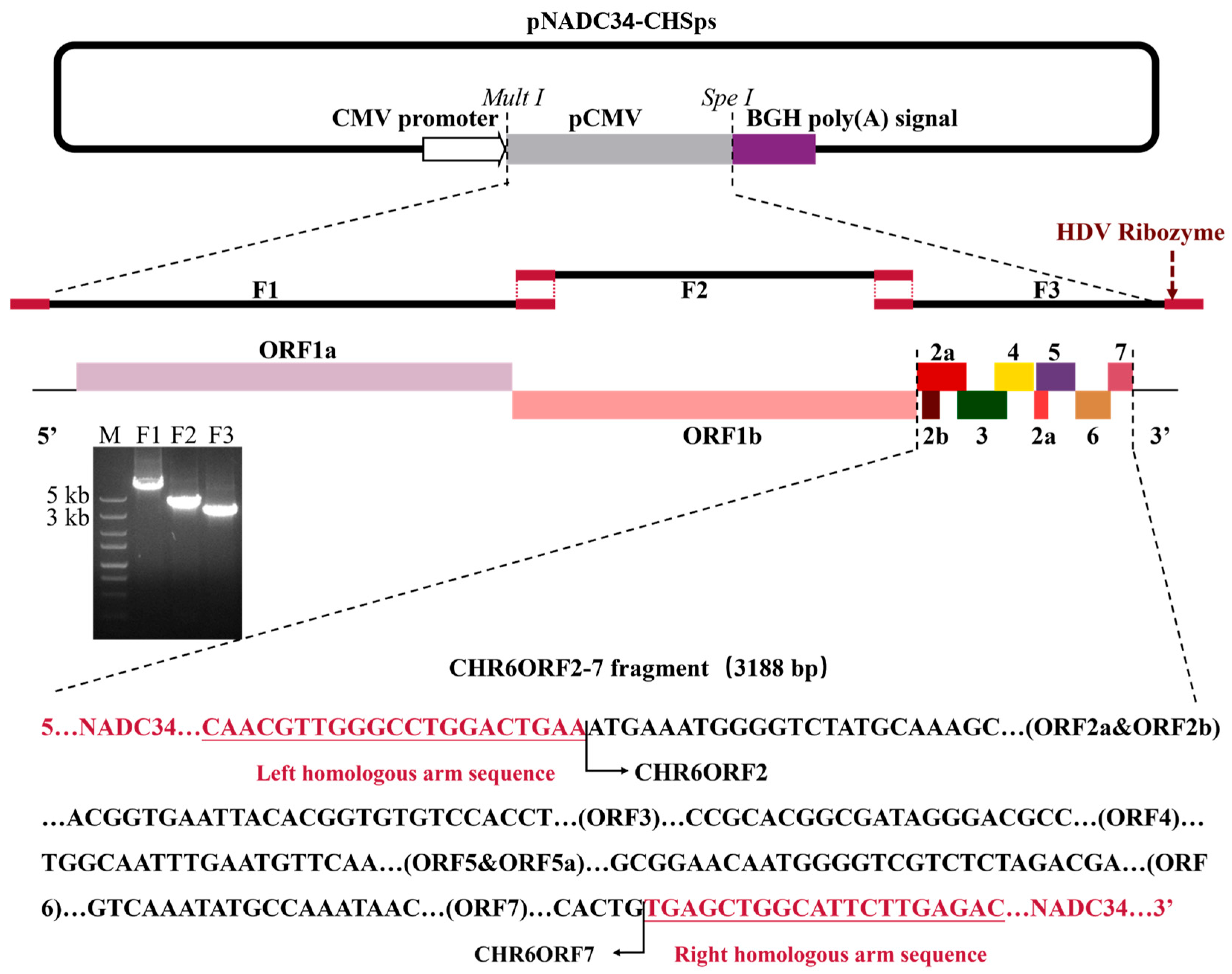 Vetsci 12 00290 g001
