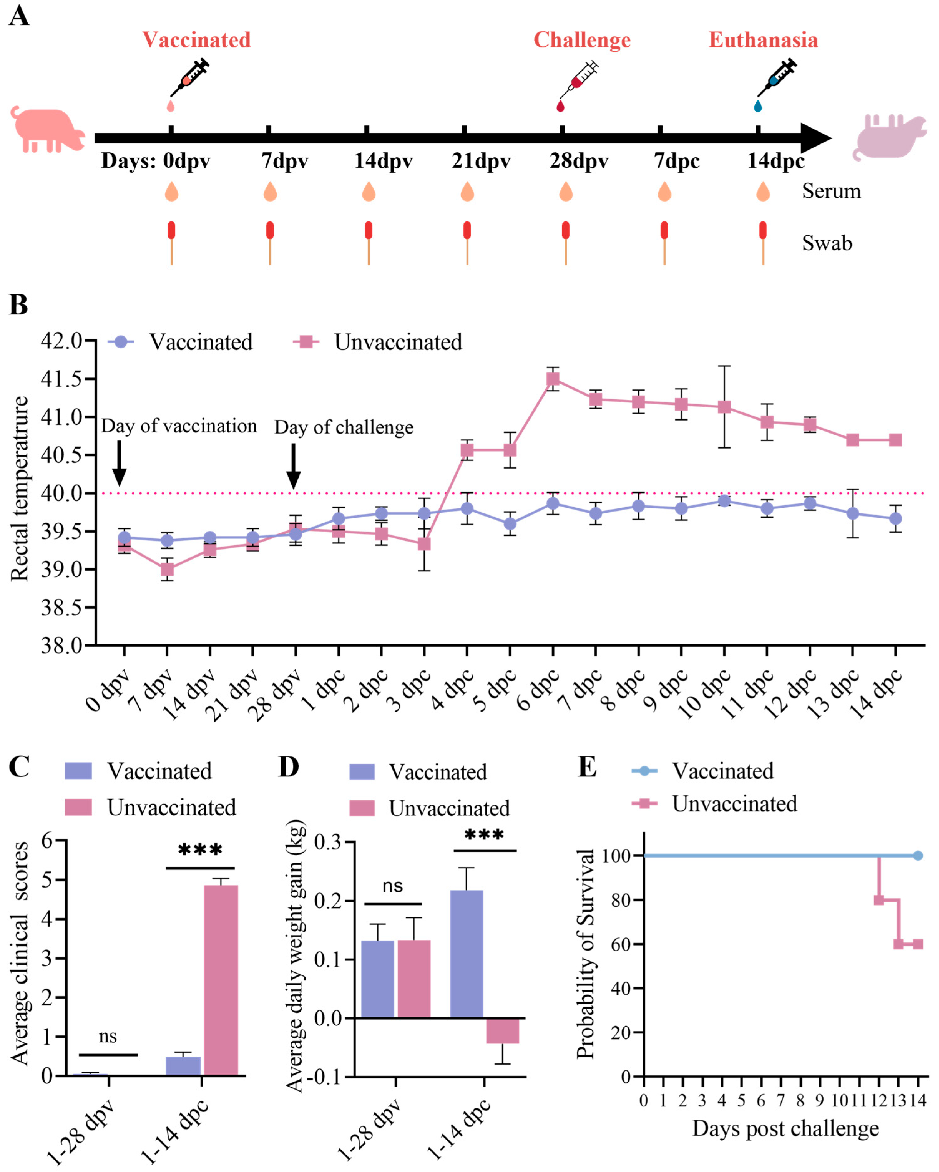 Vetsci 12 00290 g004