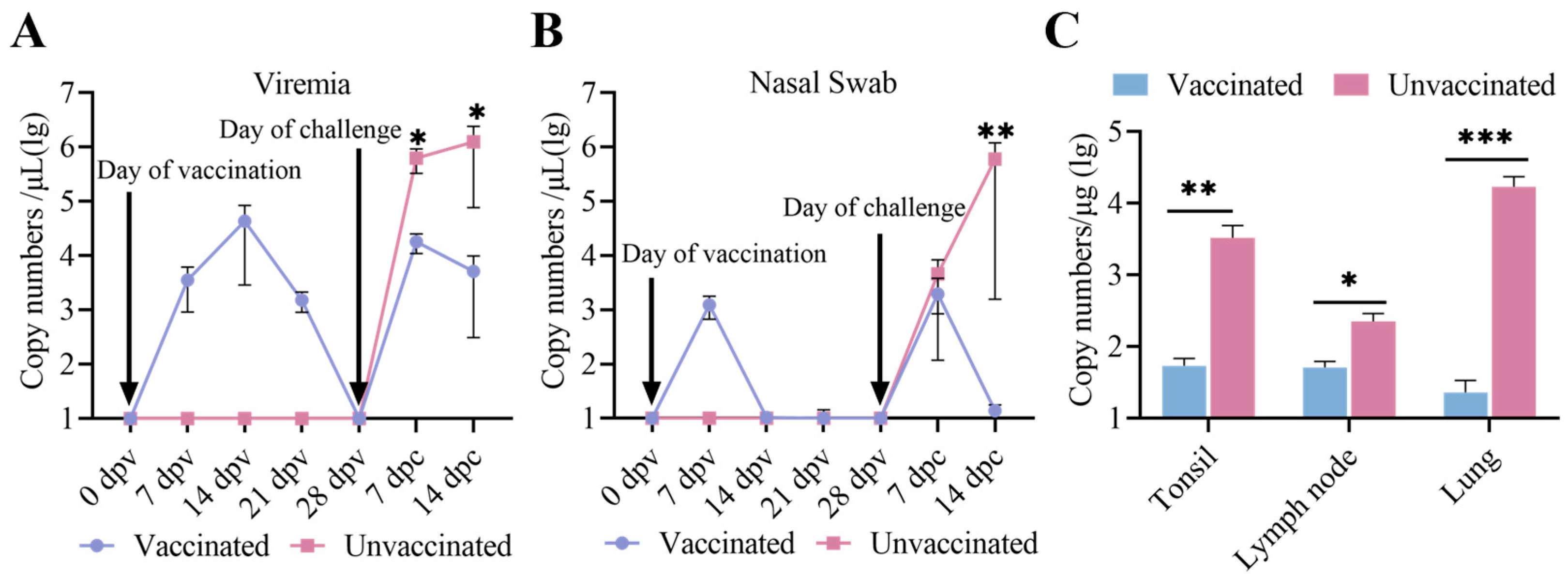 Vetsci 12 00290 g006
