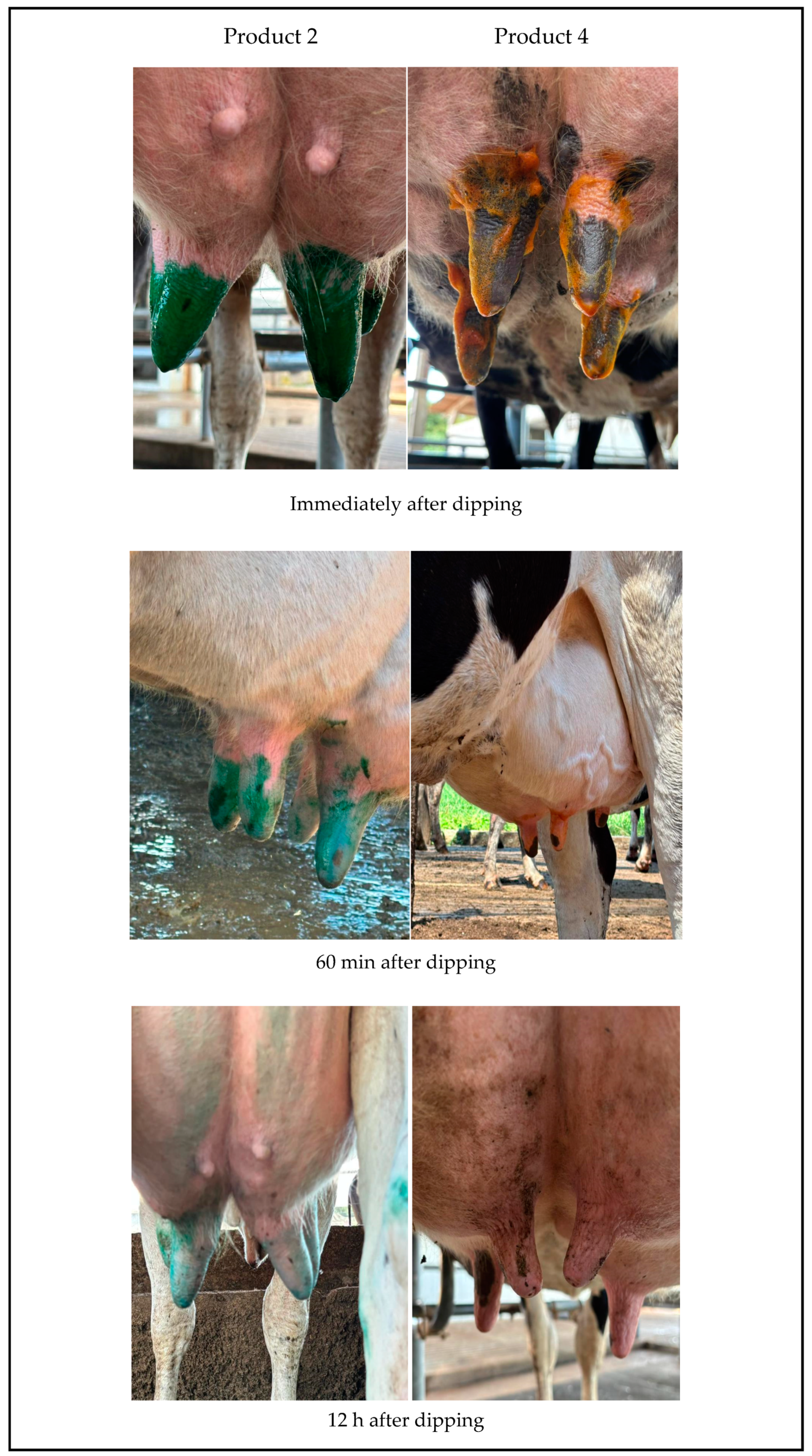 Vetsci 12 00293 g002 Vetsci 12 00293 g002