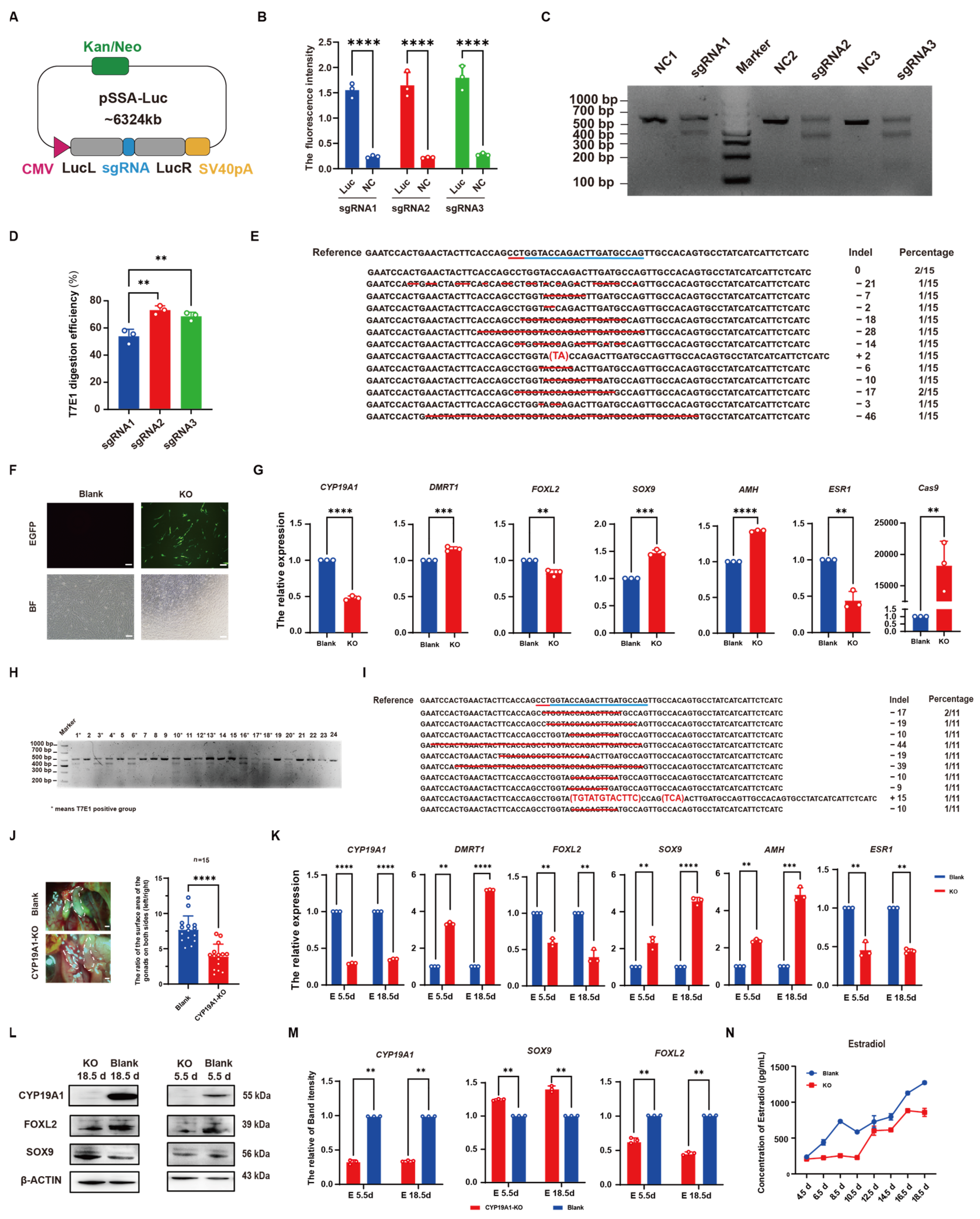 Vetsci 12 00296 g002