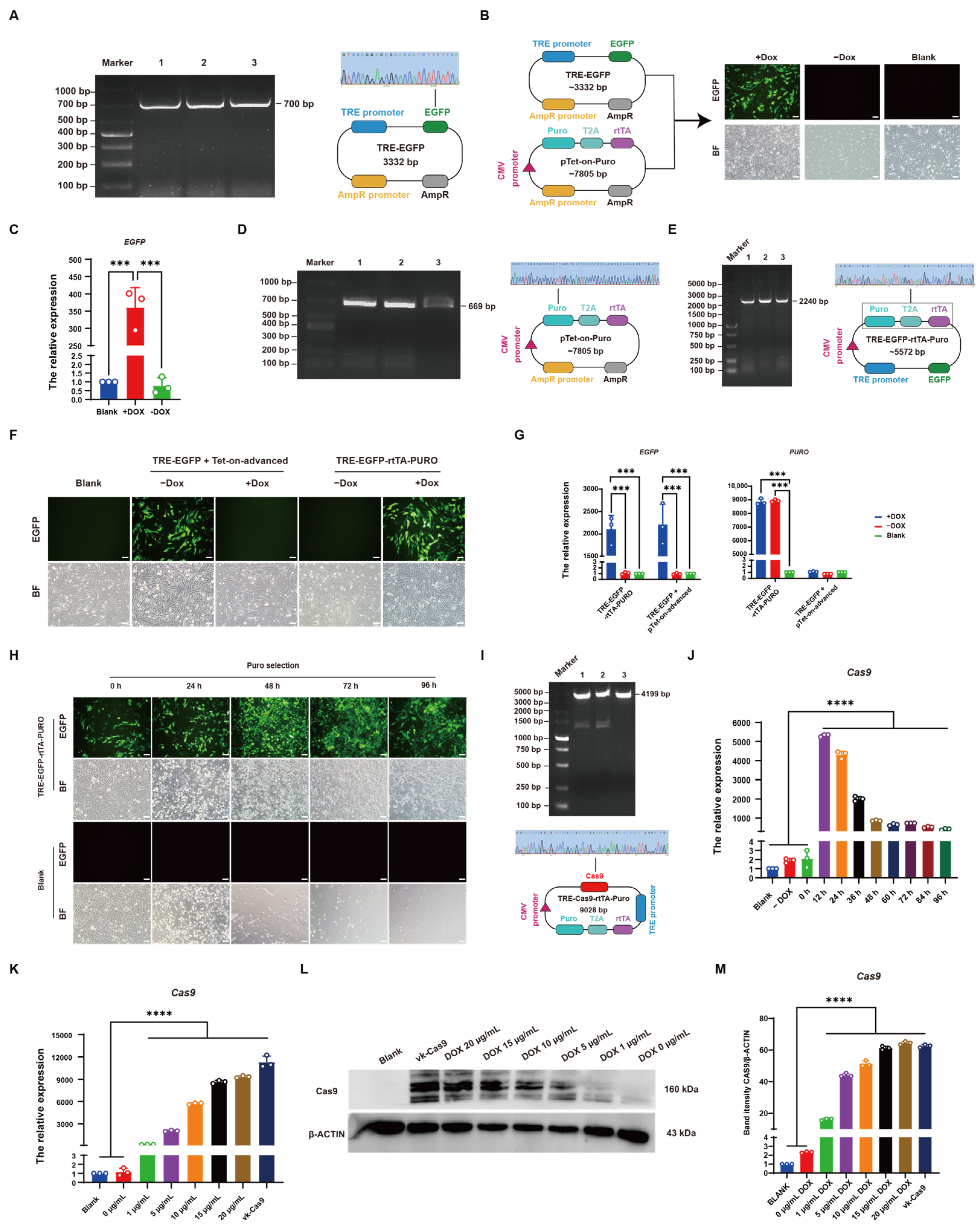 Vetsci 12 00296 g003