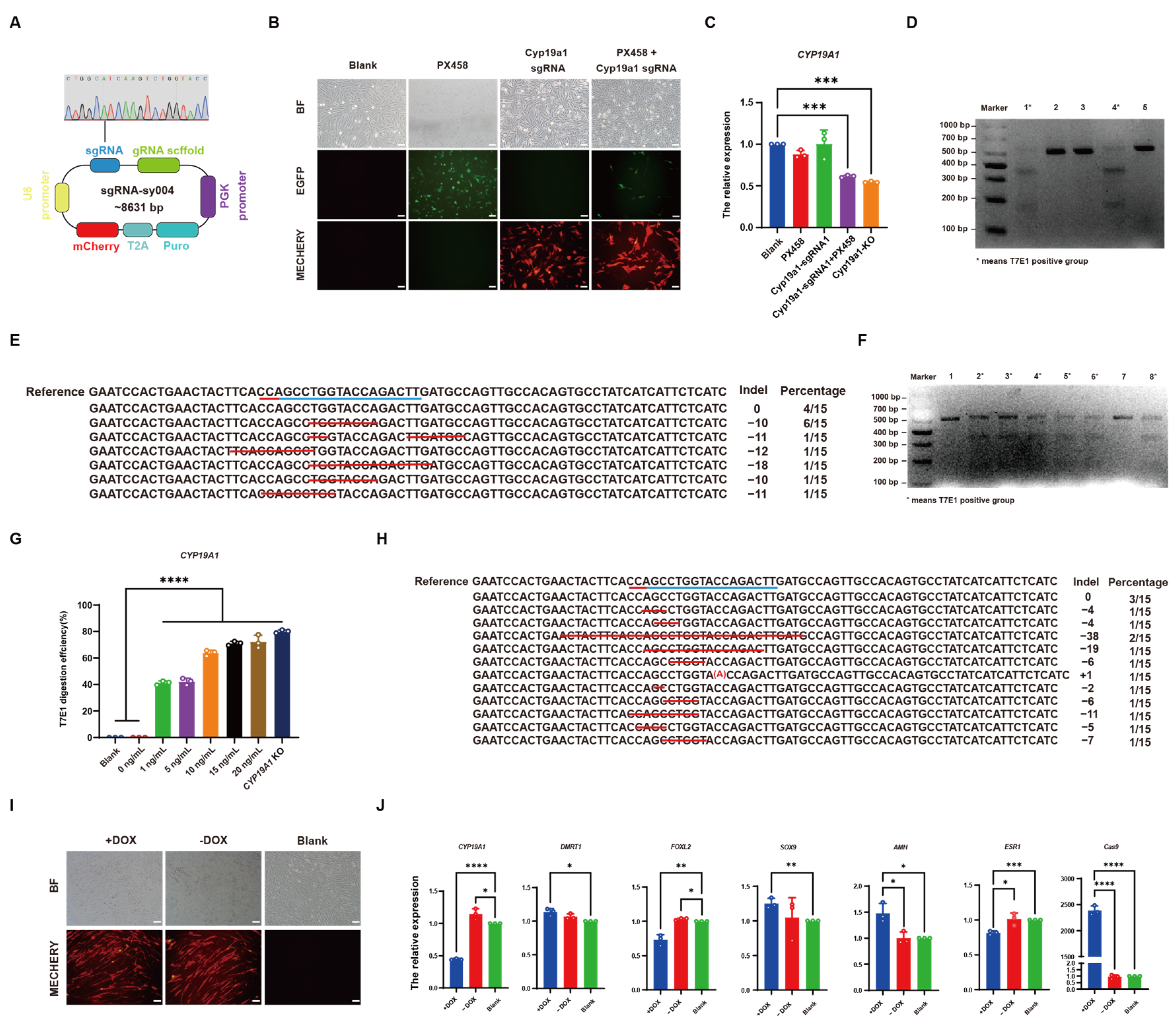 Vetsci 12 00296 g004