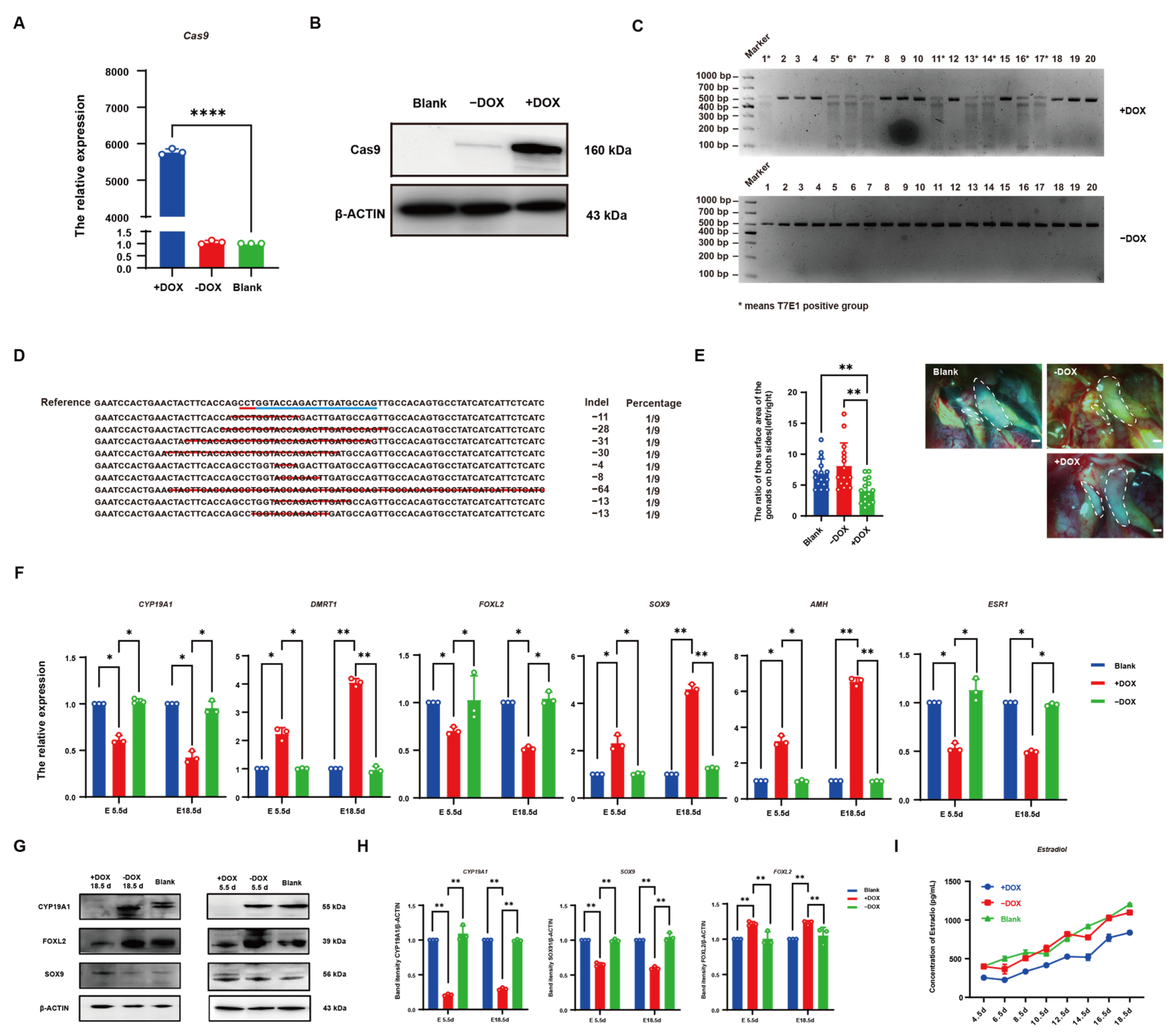Vetsci 12 00296 g005