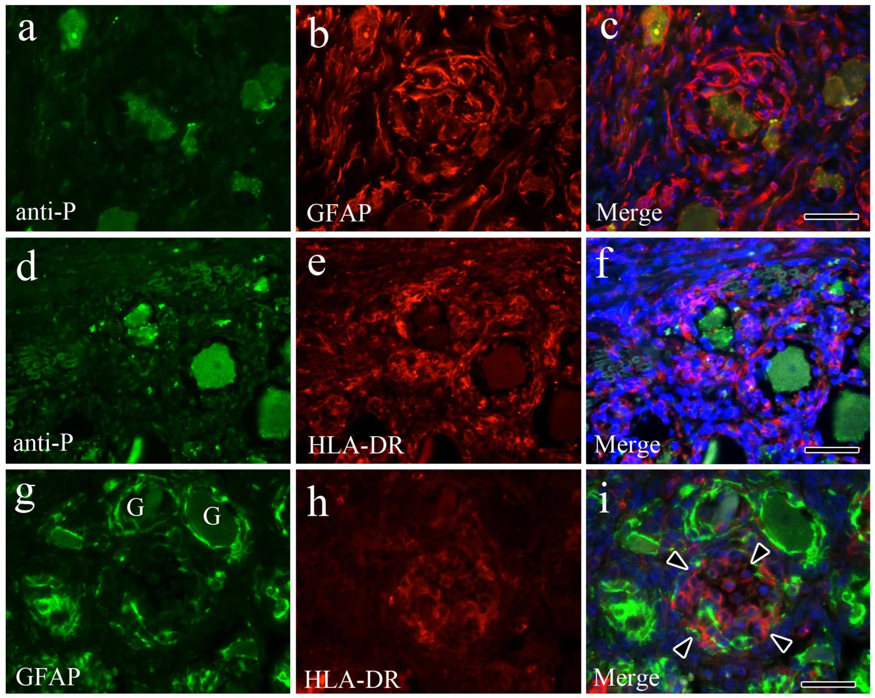 Vetsci 12 00299 g005