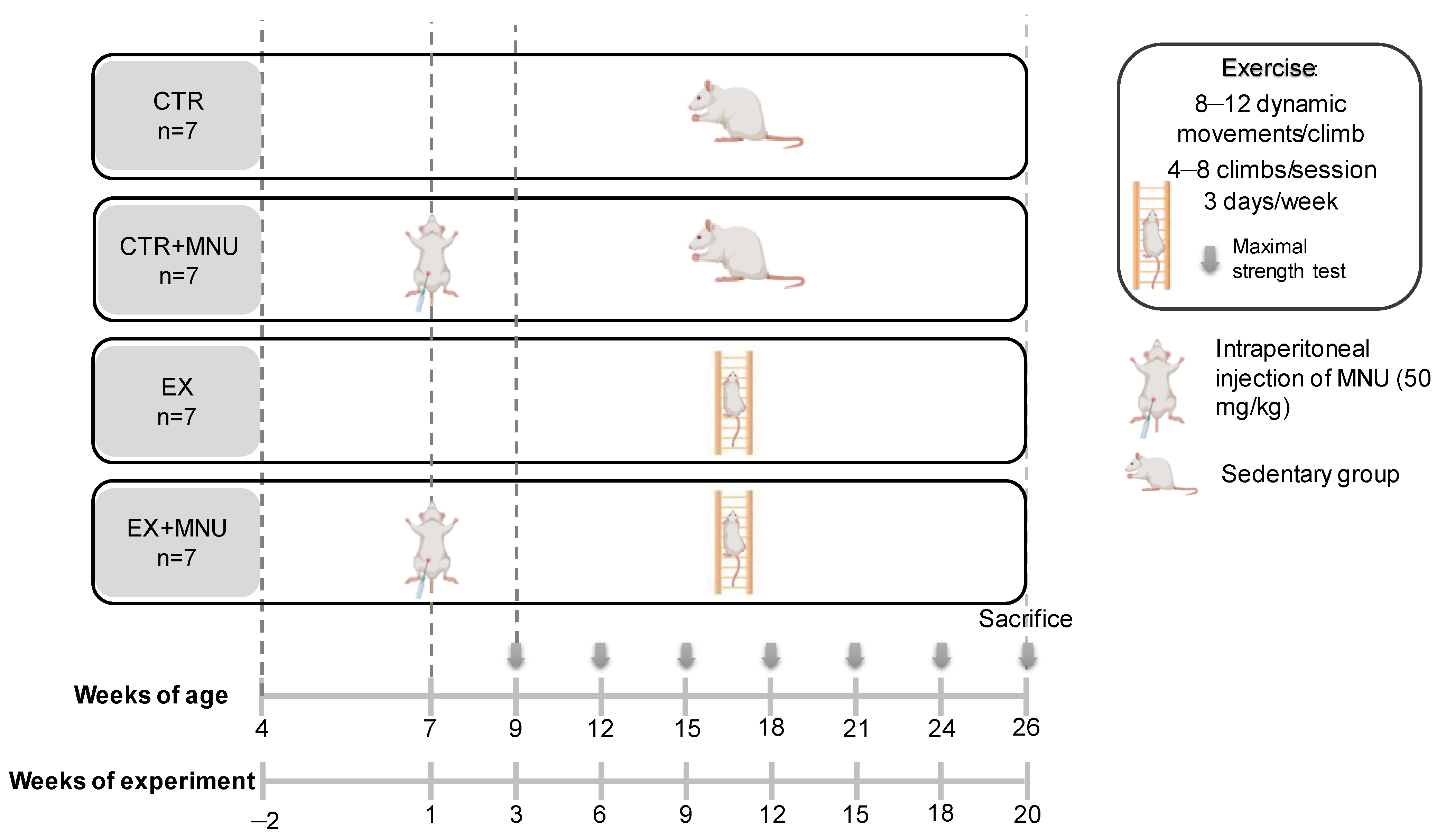 Vetsci 12 00303 g001