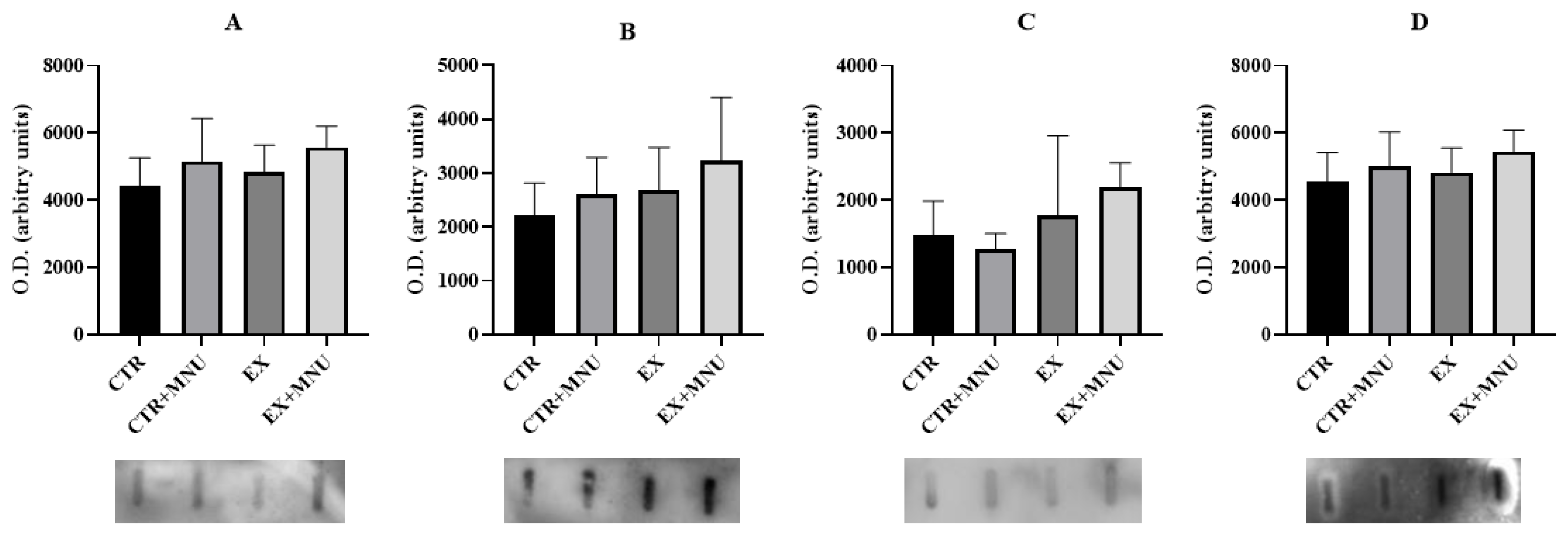 Vetsci 12 00303 g003