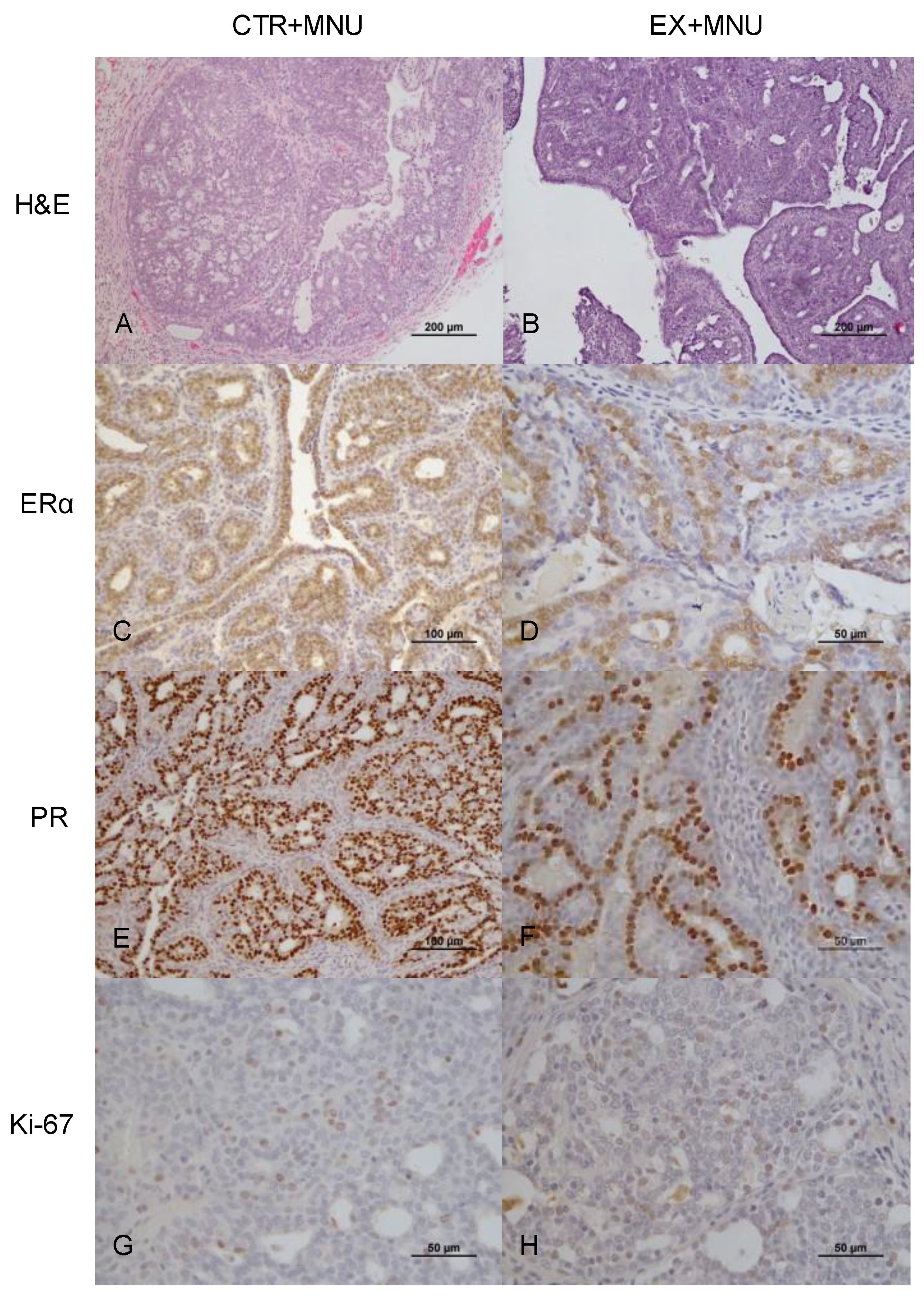 Vetsci 12 00303 g005