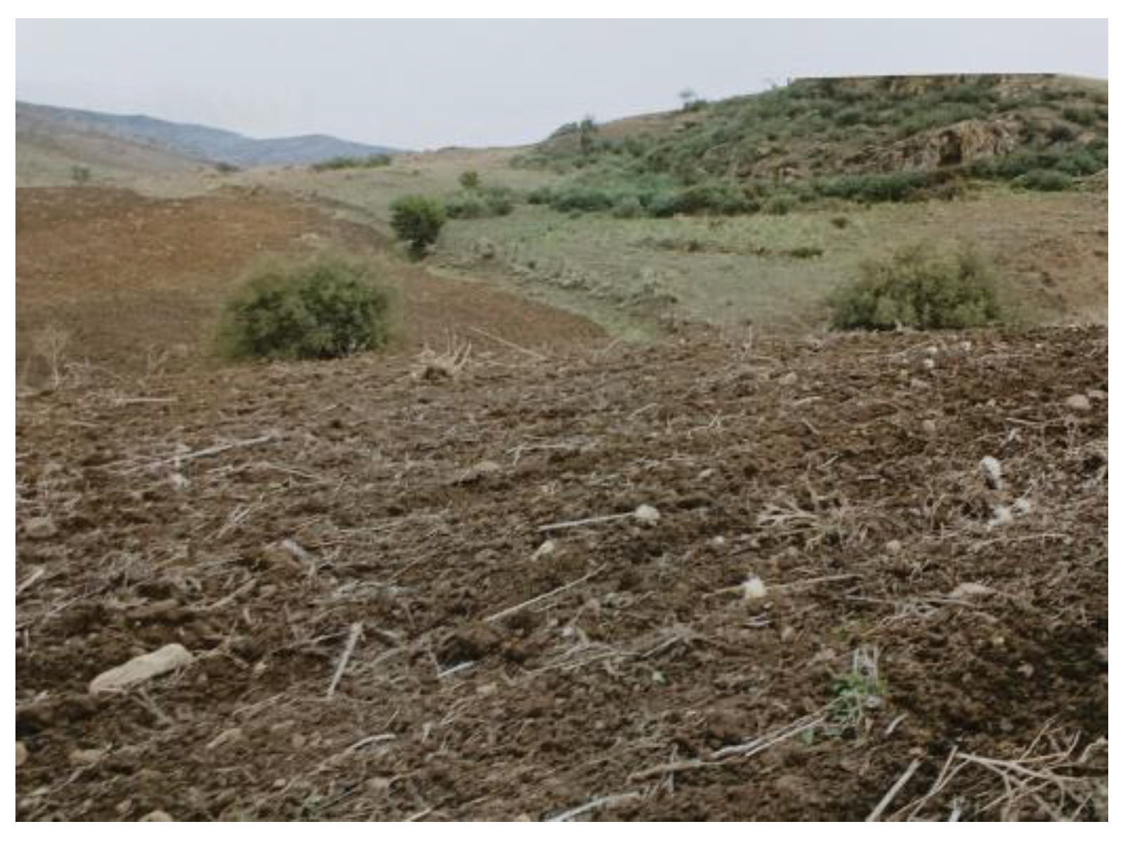 Vetsci 12 00305 g003