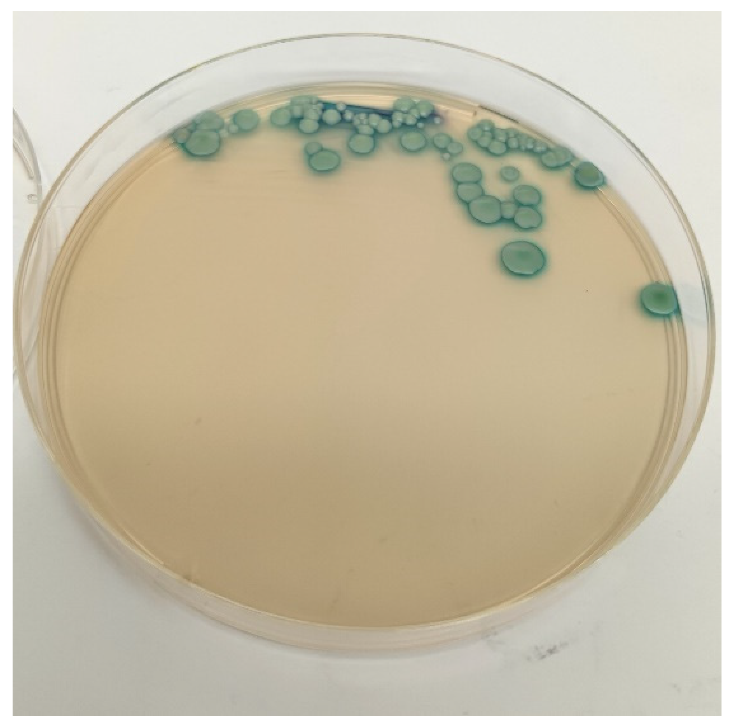 Vetsci 12 00306 g002 Vetsci 12 00306 g002