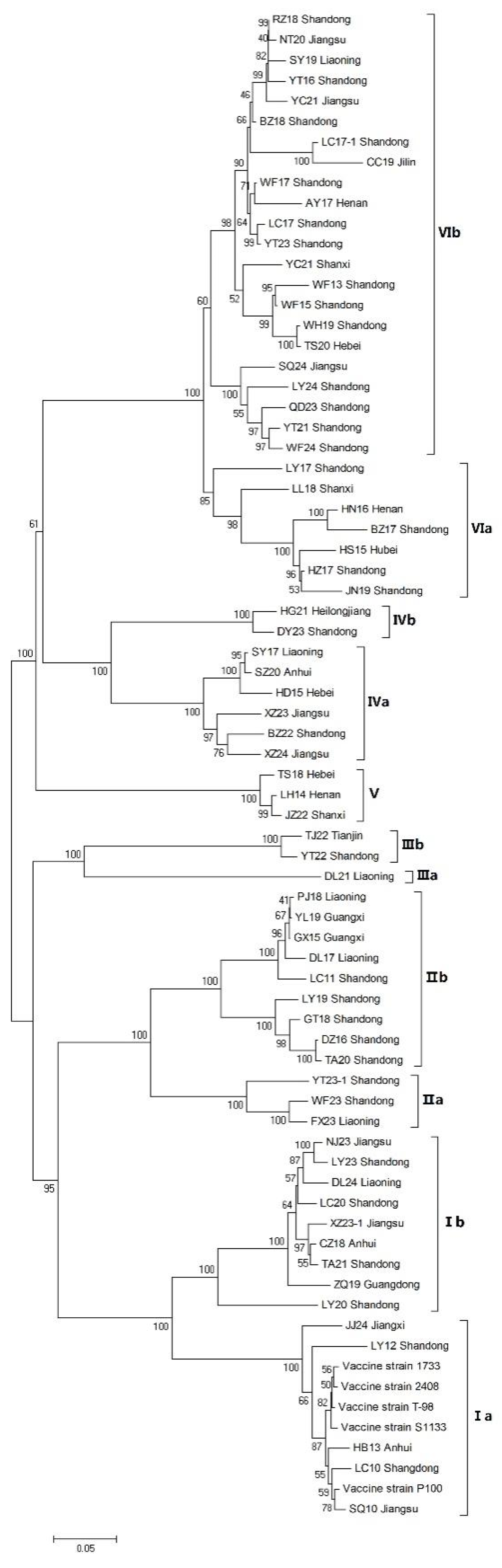 Vetsci 12 00307 g003