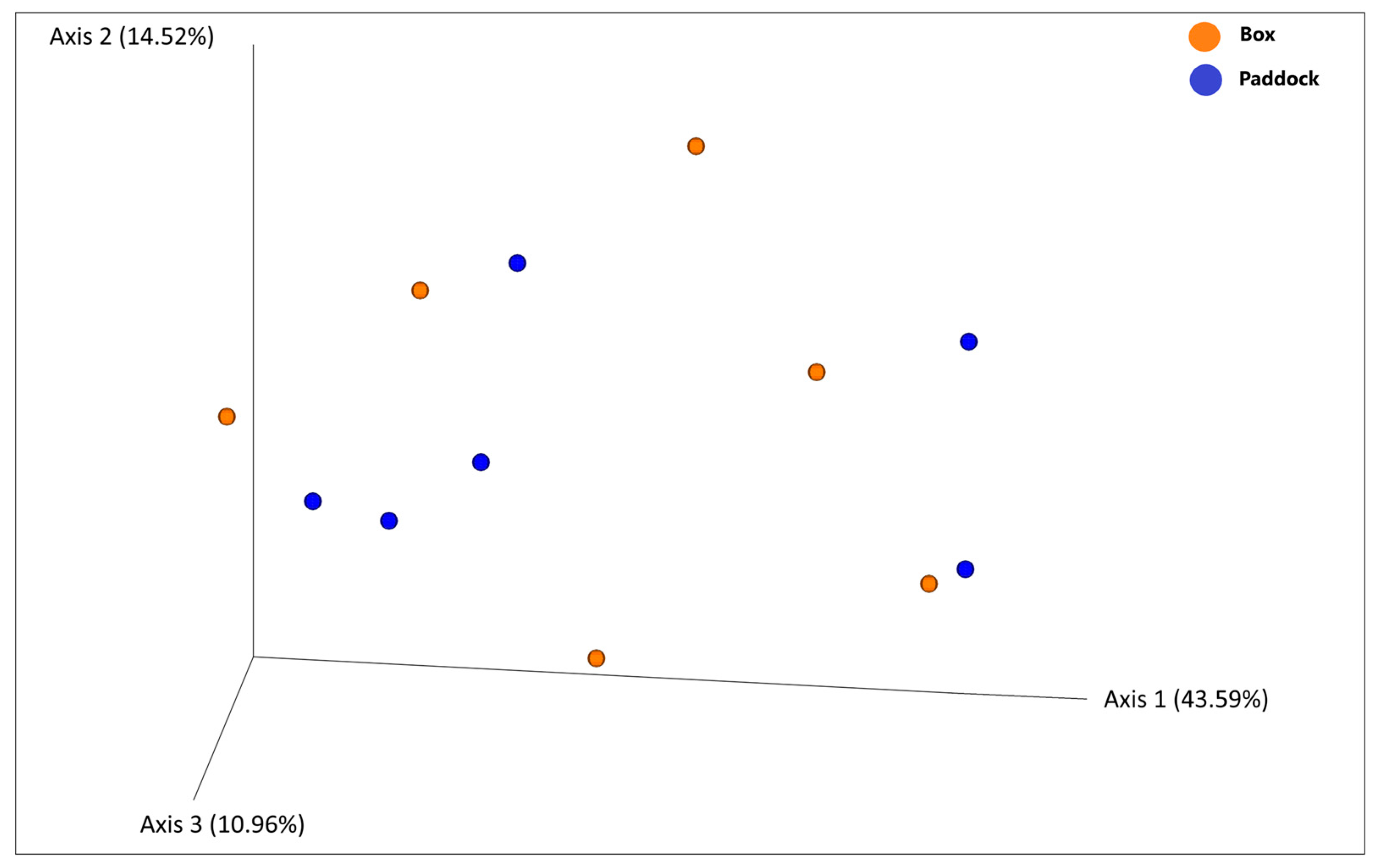 Effect of Management System on Fecal Microbiota in Arabian