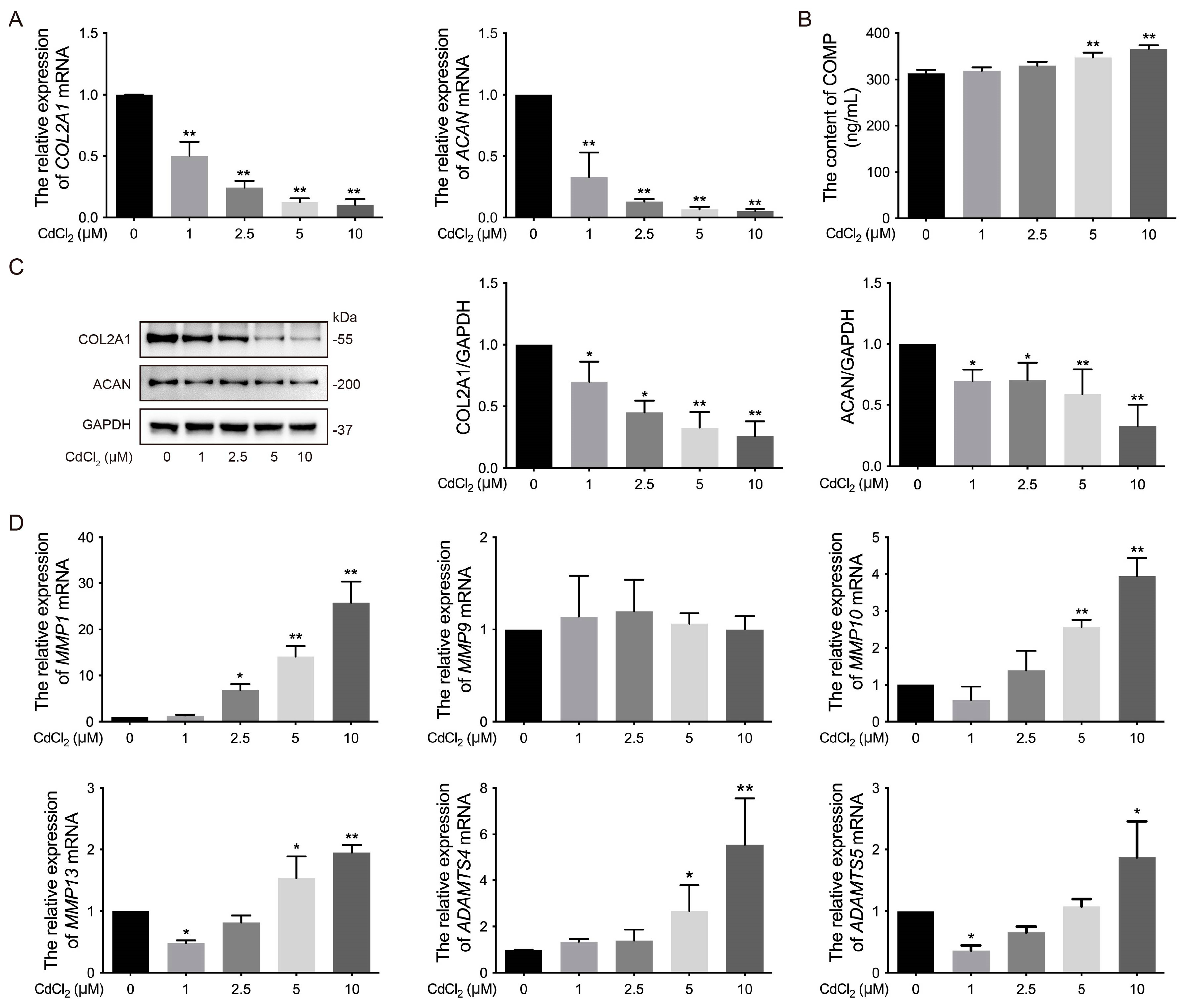 Vetsci 12 00317 g002