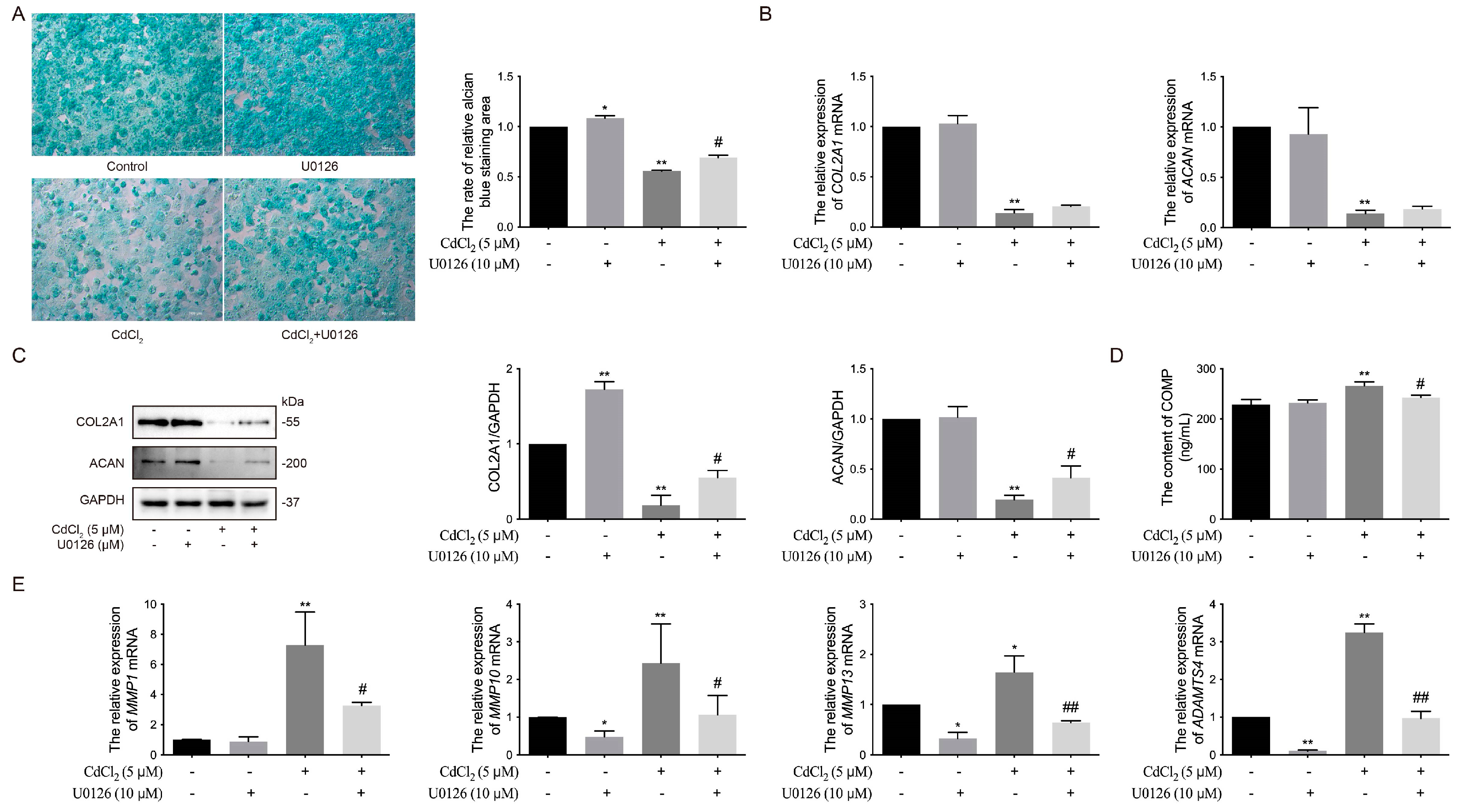 Vetsci 12 00317 g004