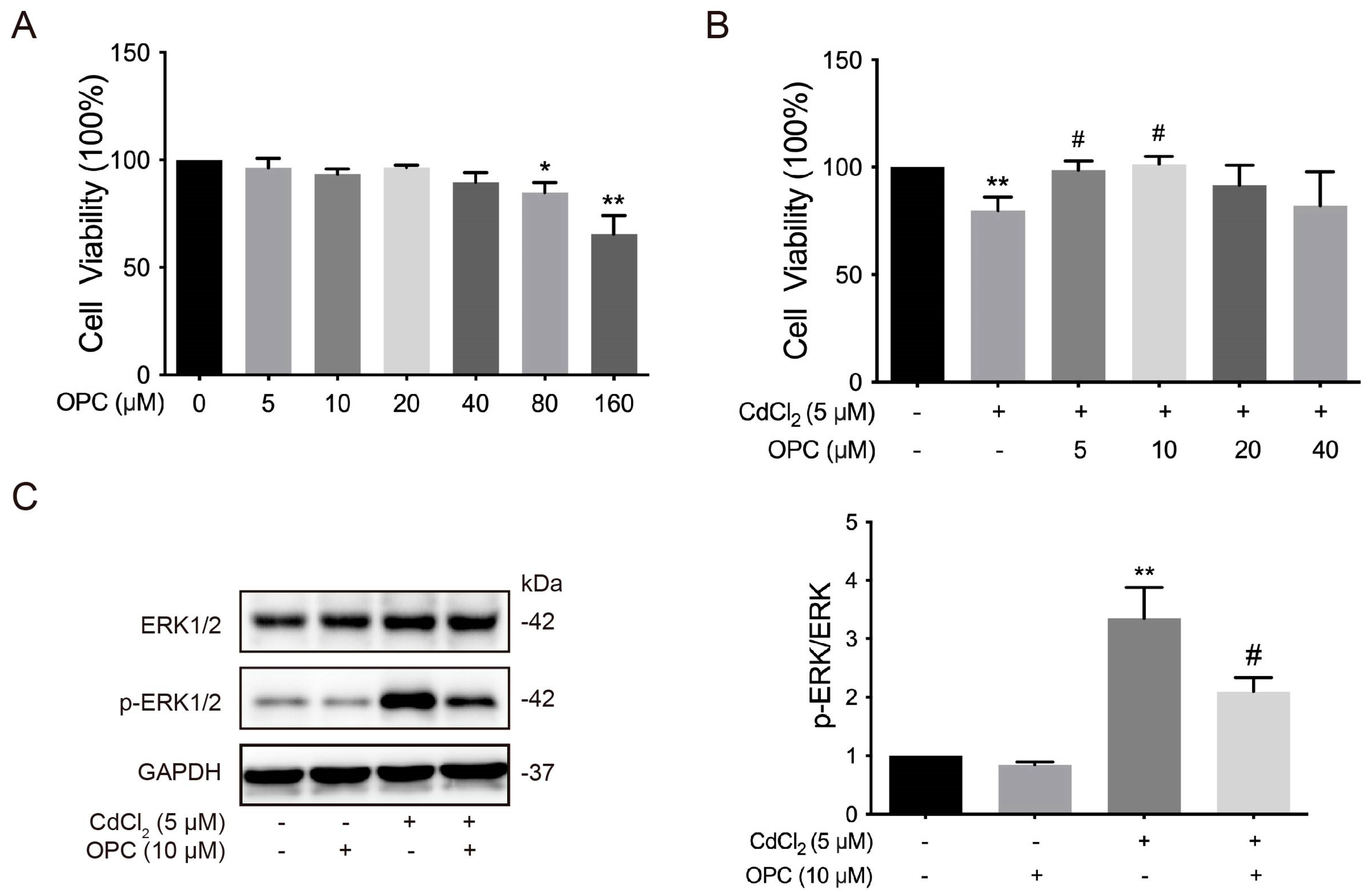 Vetsci 12 00317 g005