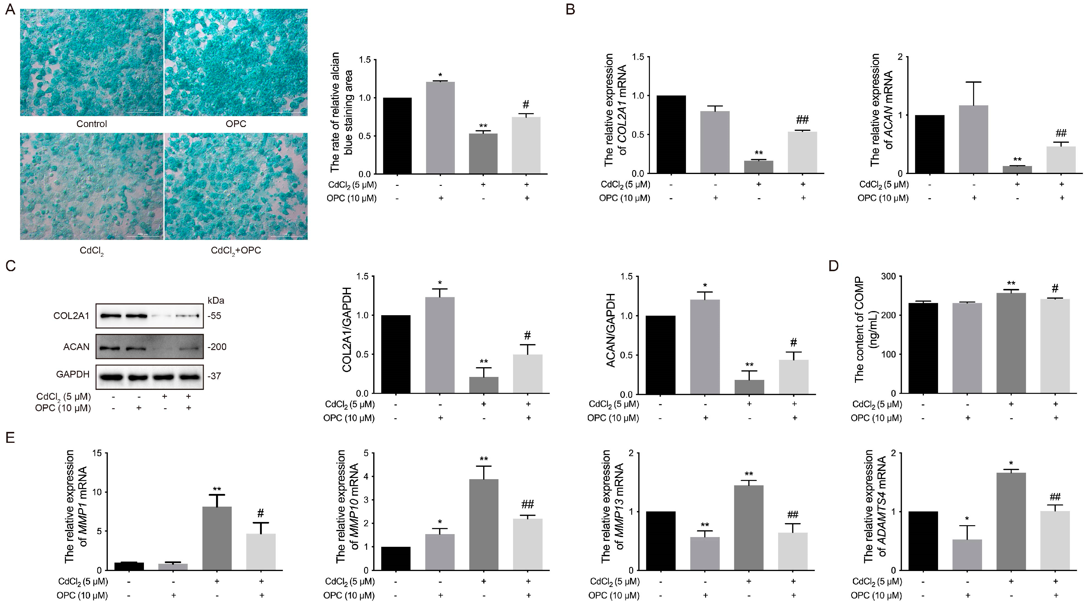Vetsci 12 00317 g006