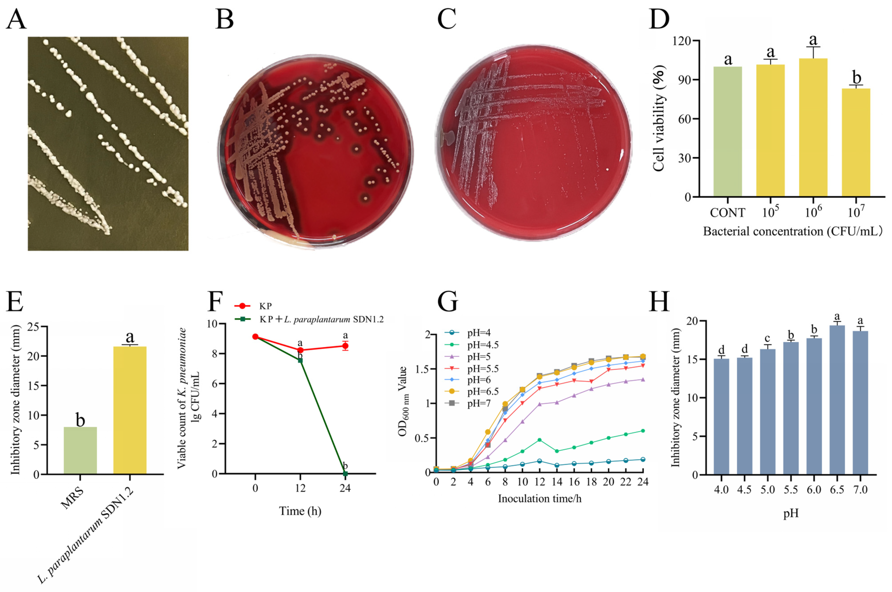 Vetsci 12 00323 g004