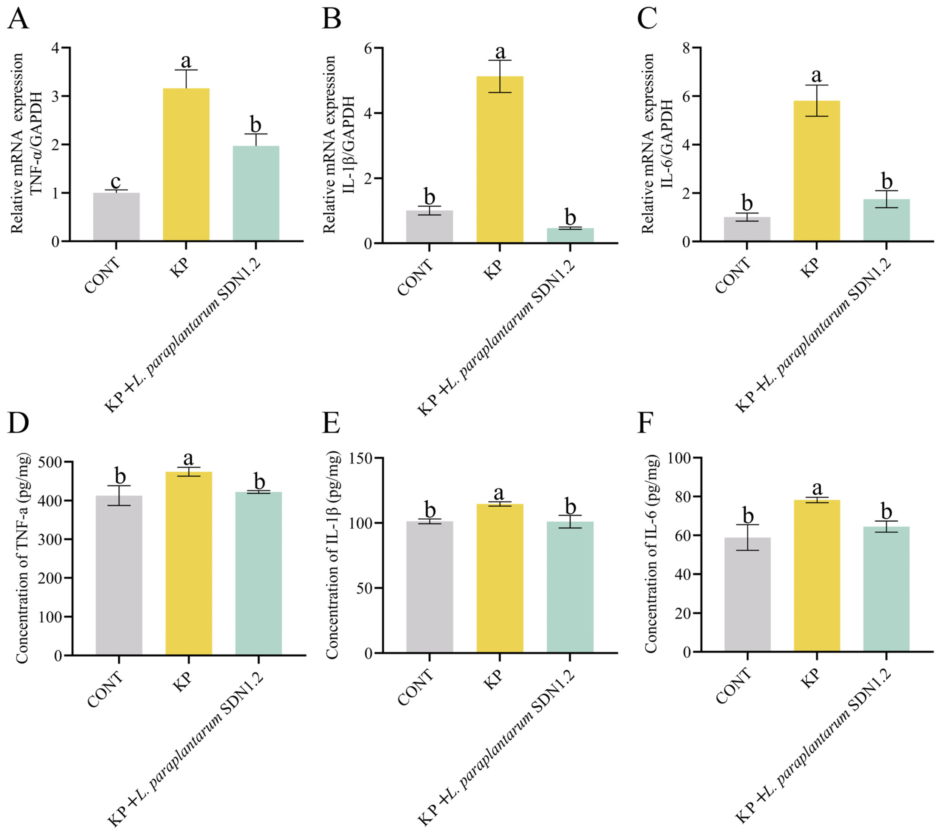 Vetsci 12 00323 g005