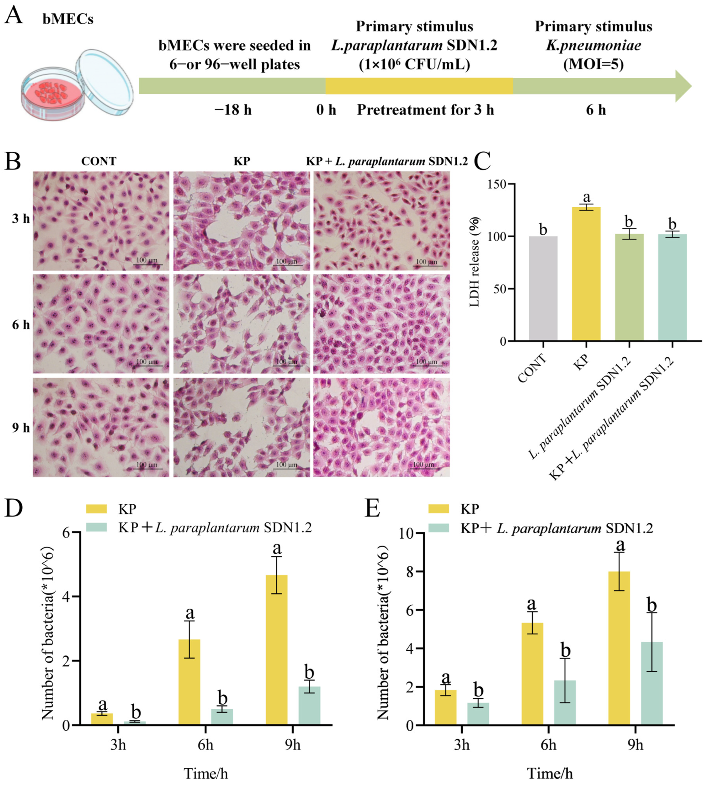 Vetsci 12 00323 g007