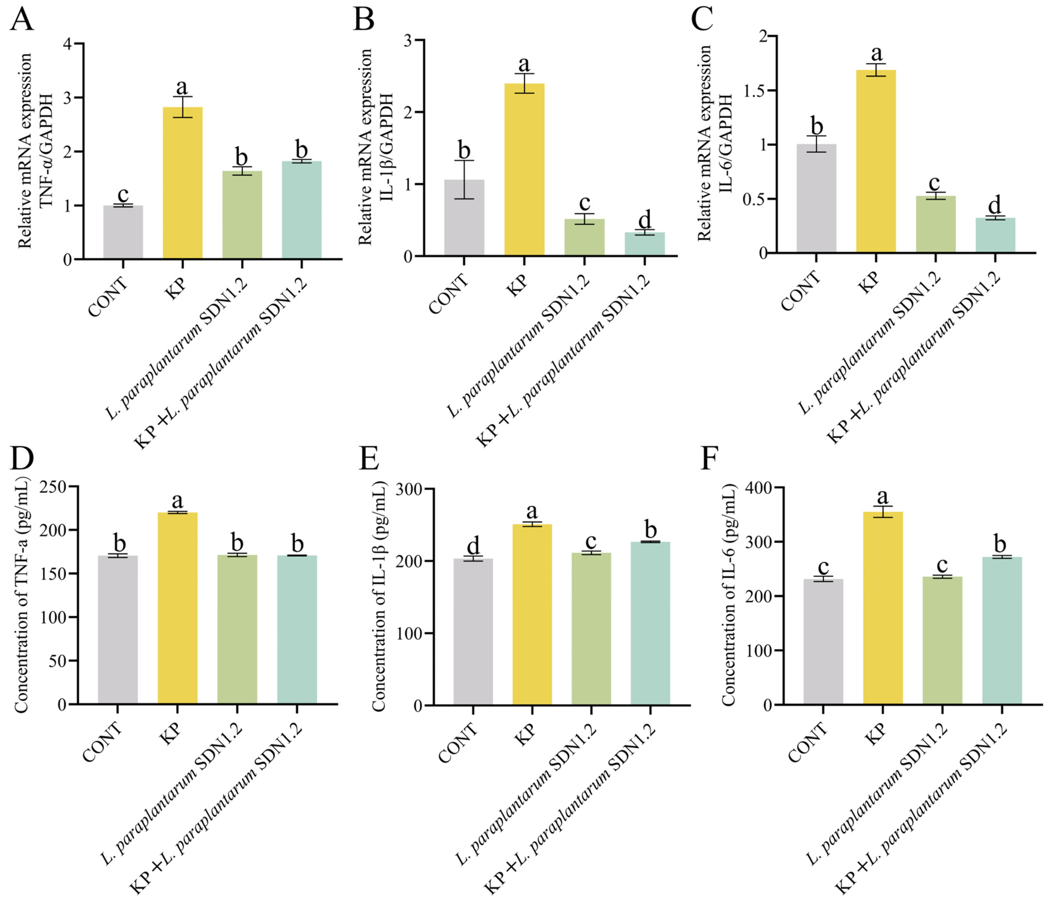 Vetsci 12 00323 g008