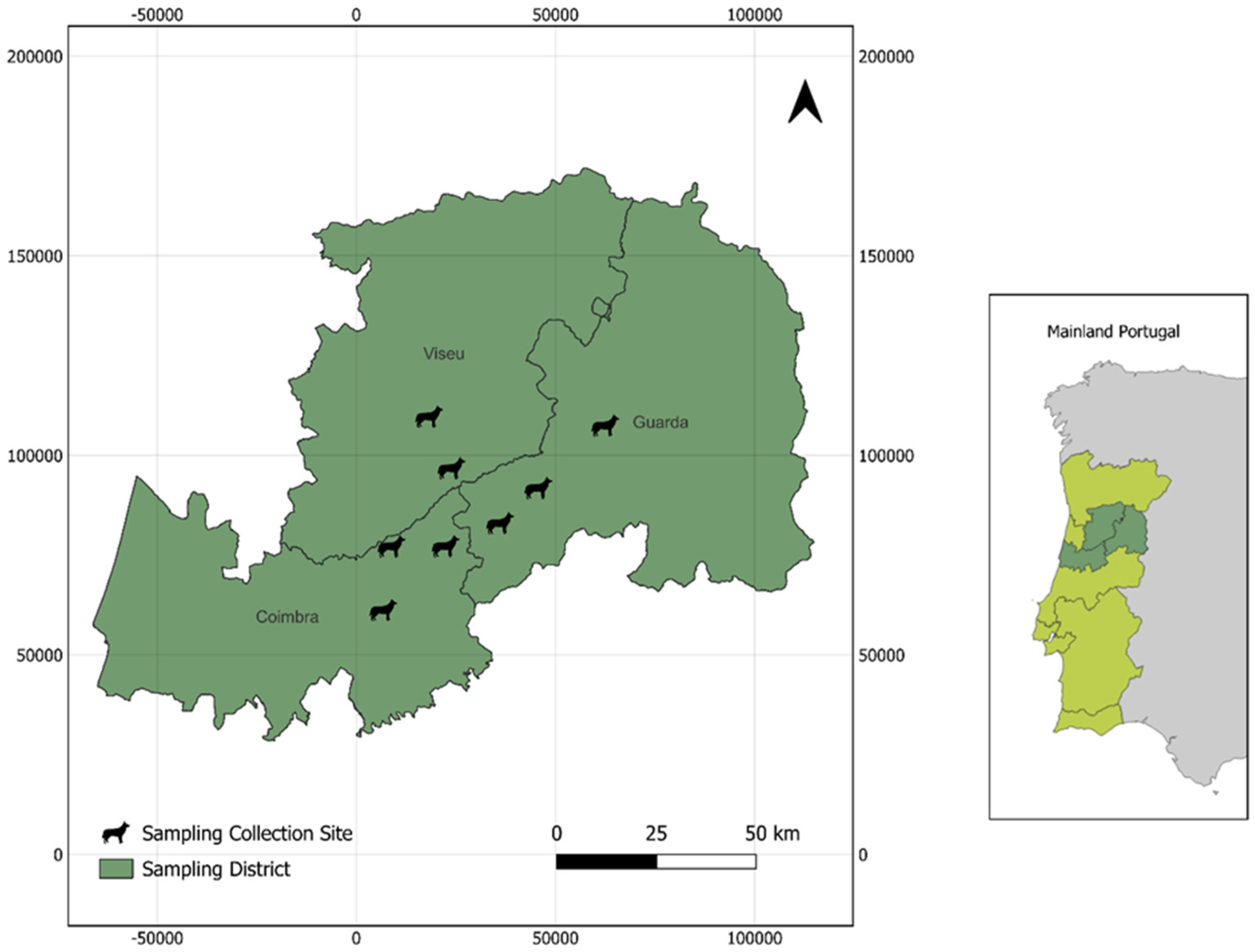 Vetsci 12 00325 g001