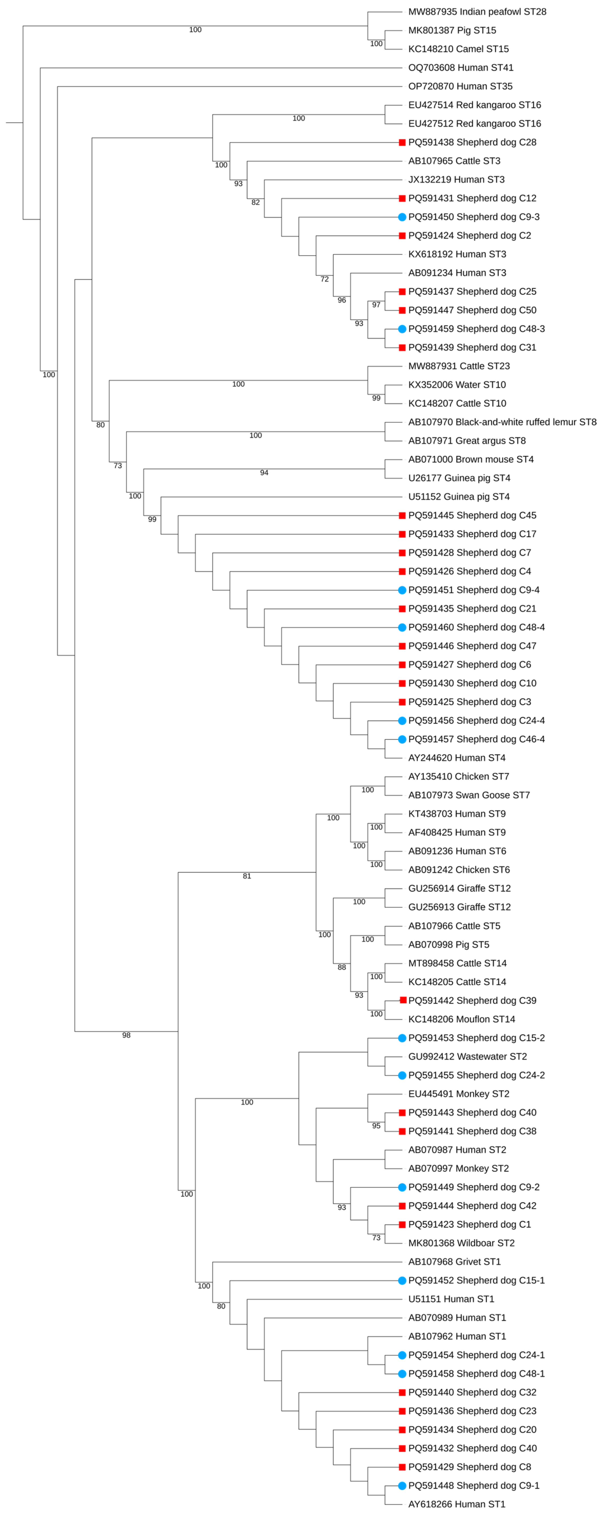 Vetsci 12 00325 g003