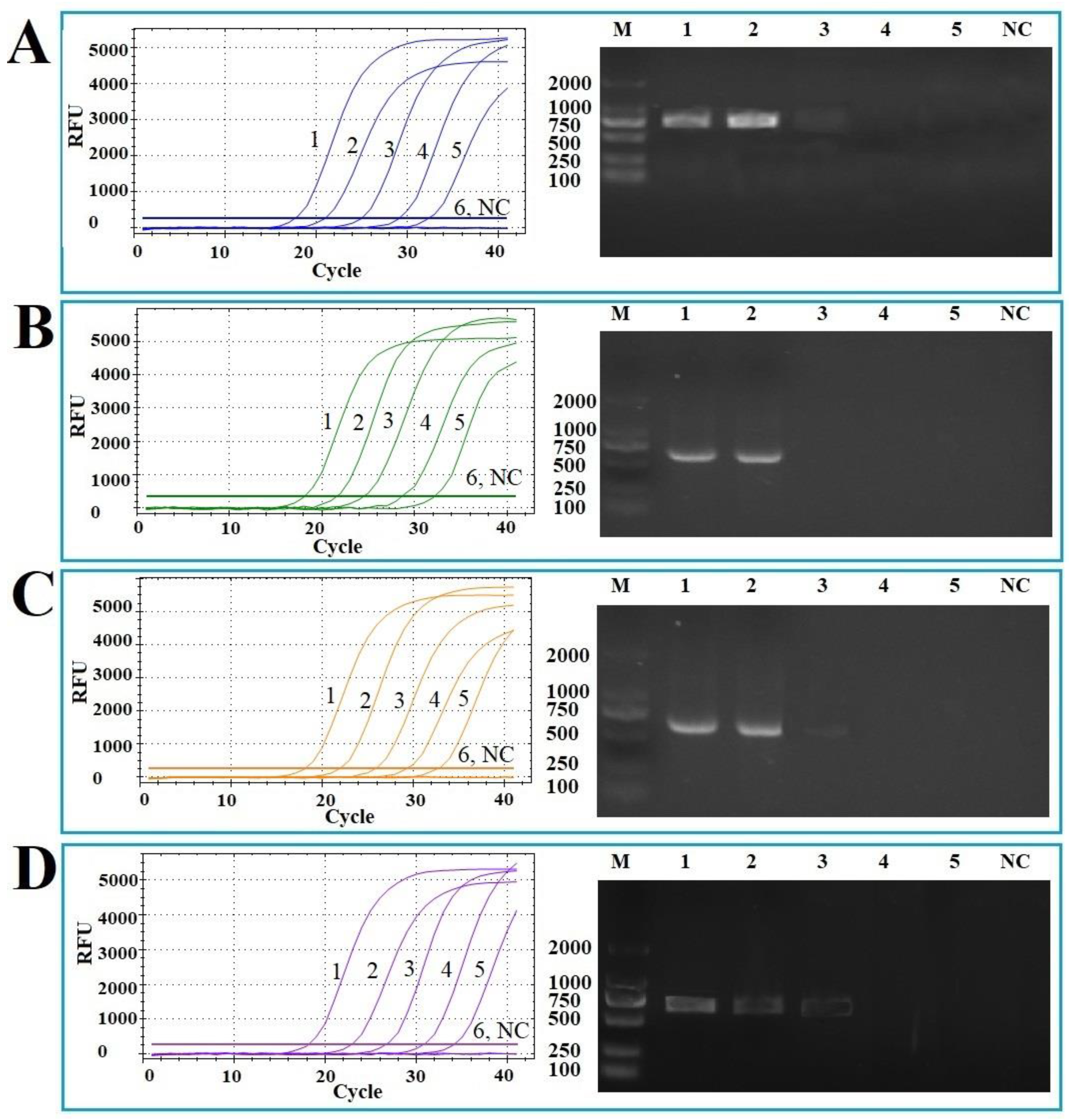 Vetsci 12 00327 g005