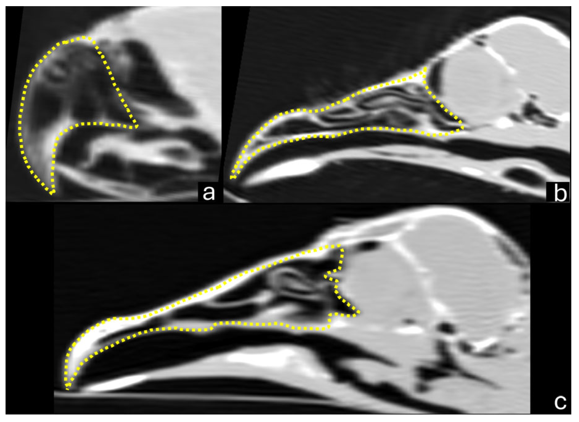 Vetsci 12 00331 g003