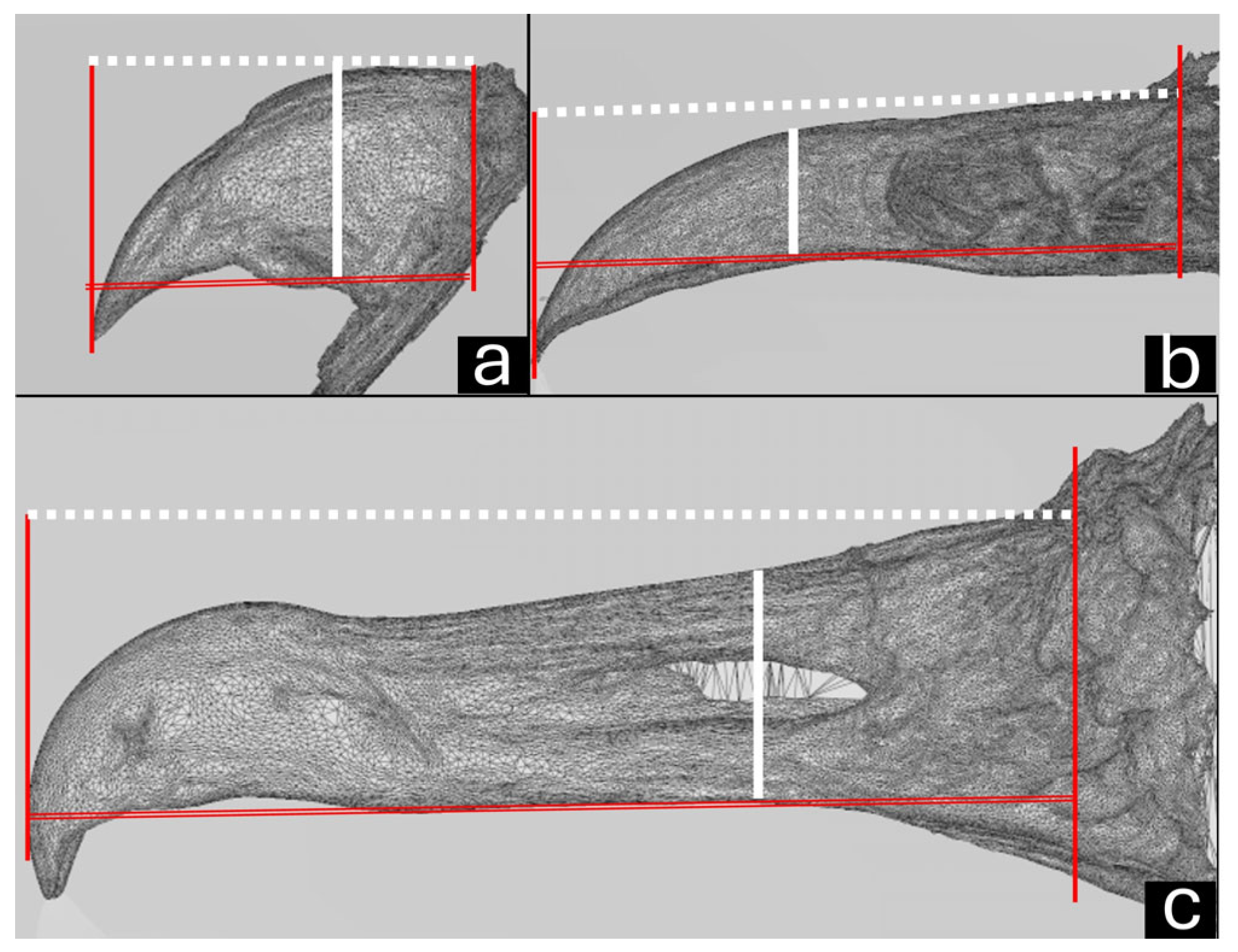 Vetsci 12 00331 g005