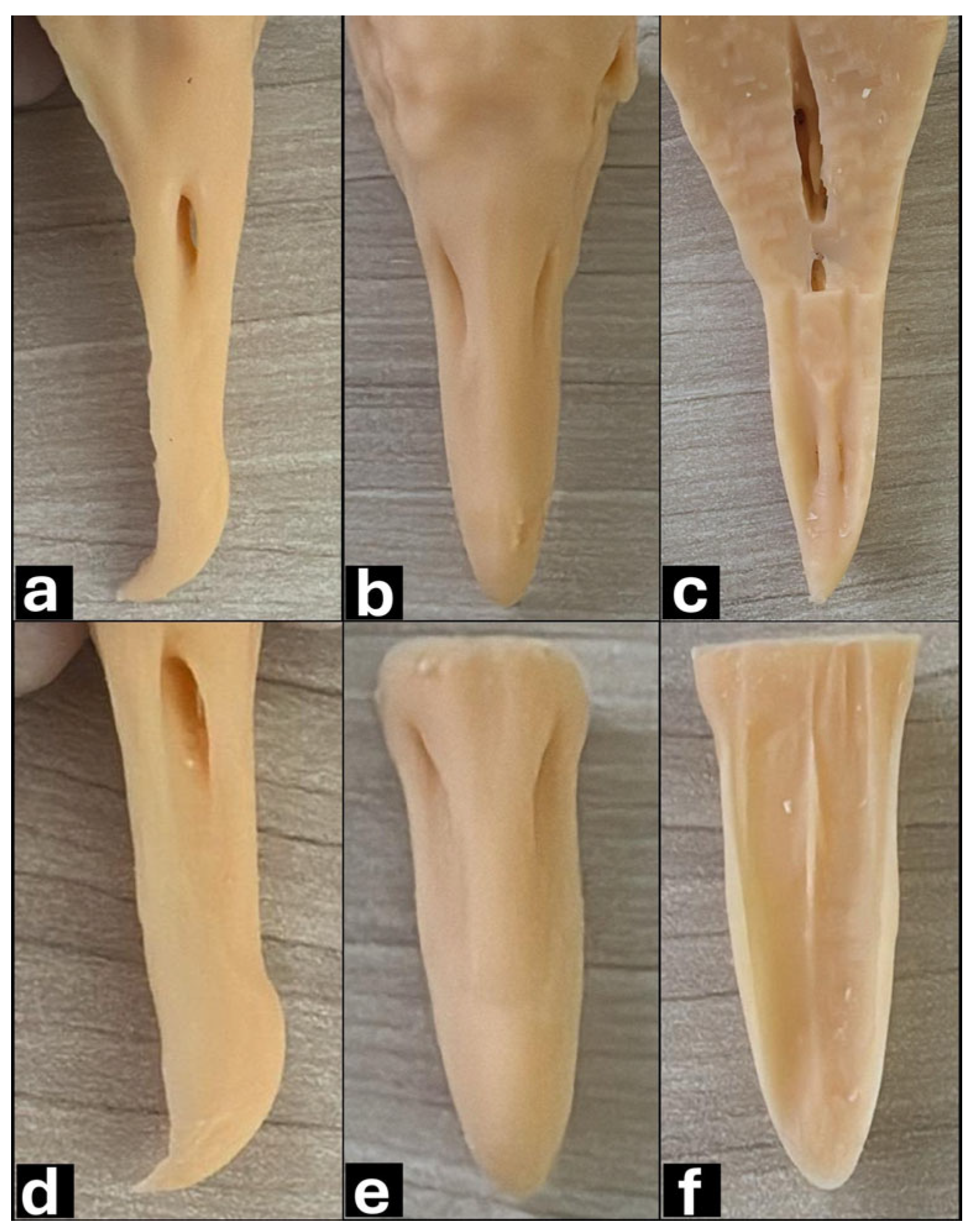 Vetsci 12 00331 g009