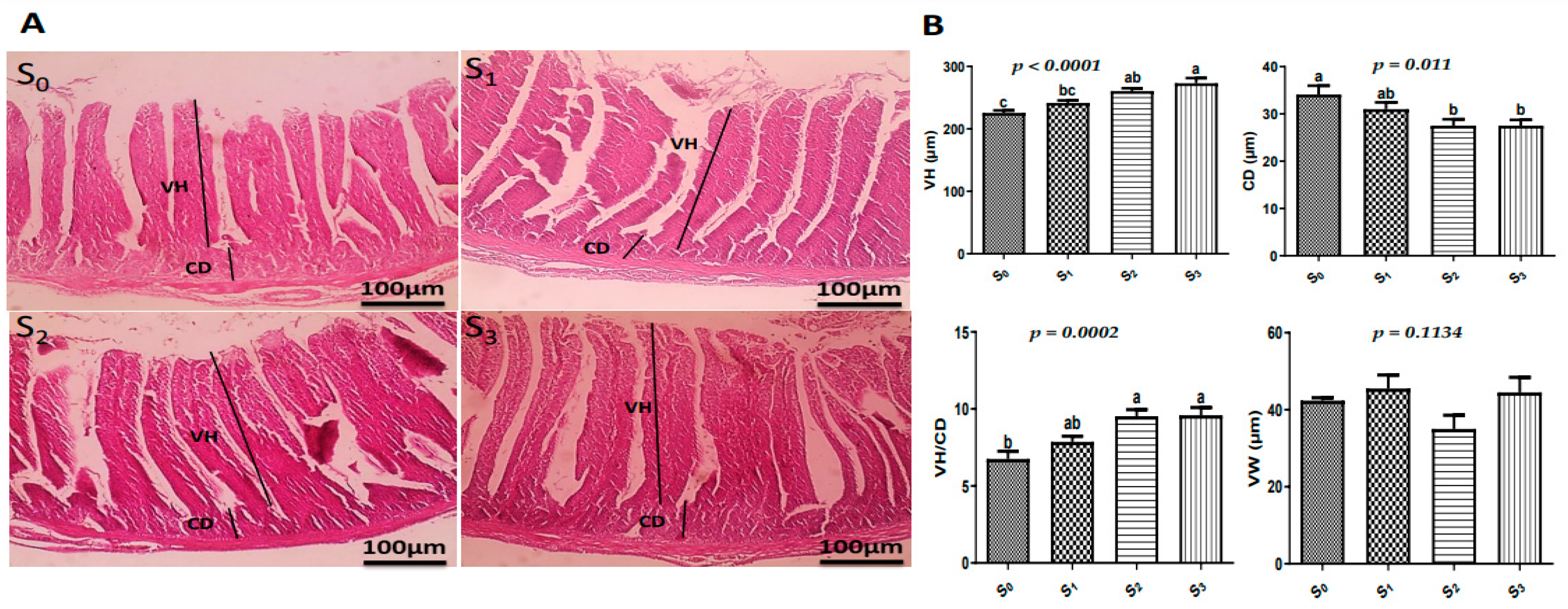 Vetsci 12 00341 g005