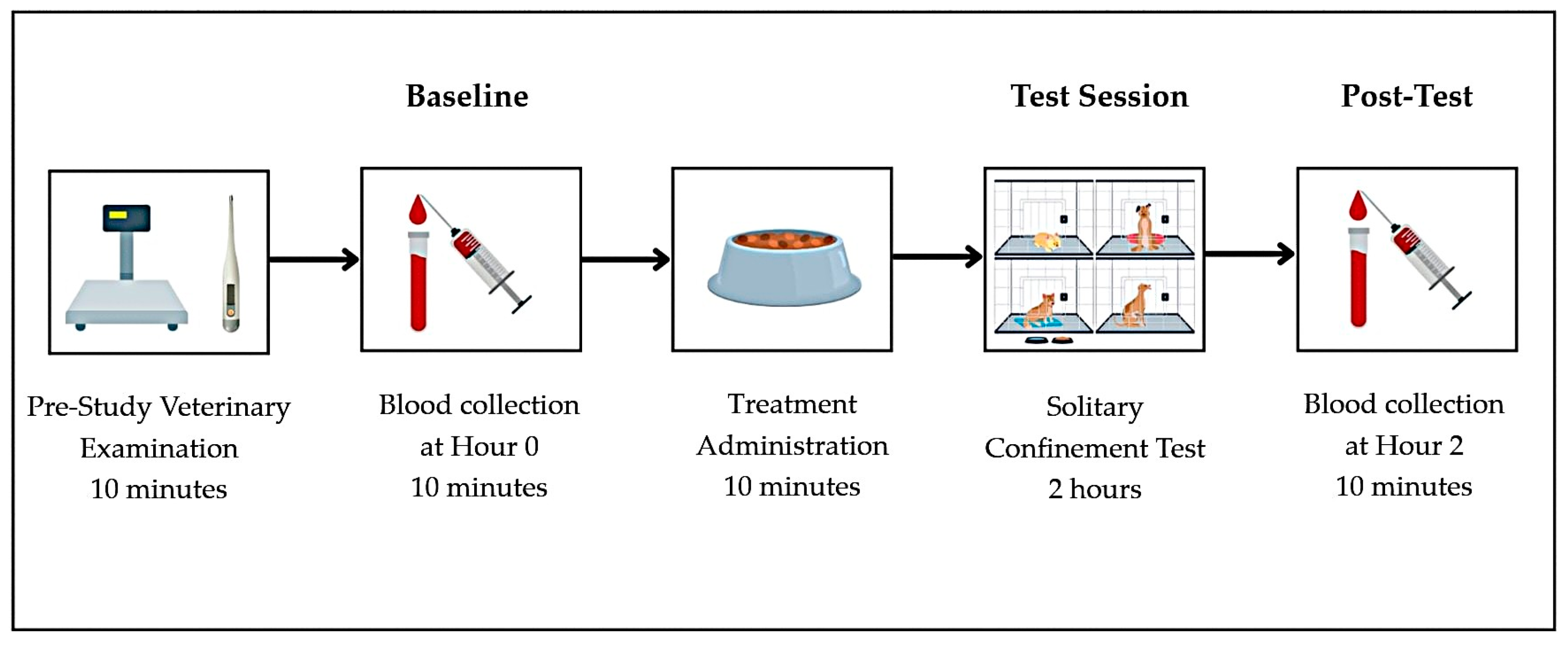 Vetsci 12 00342 g001