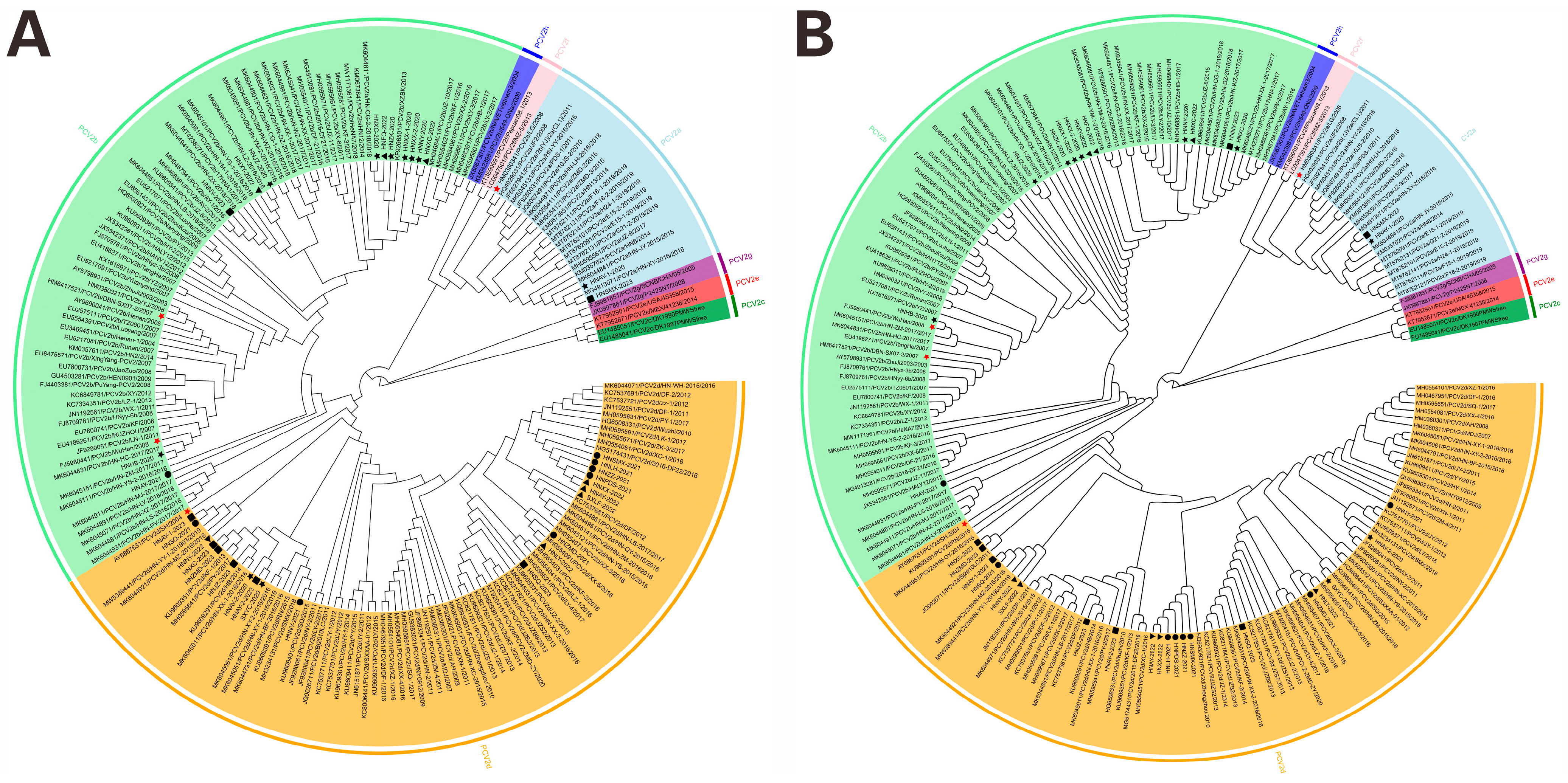 Vetsci 12 00343 g002