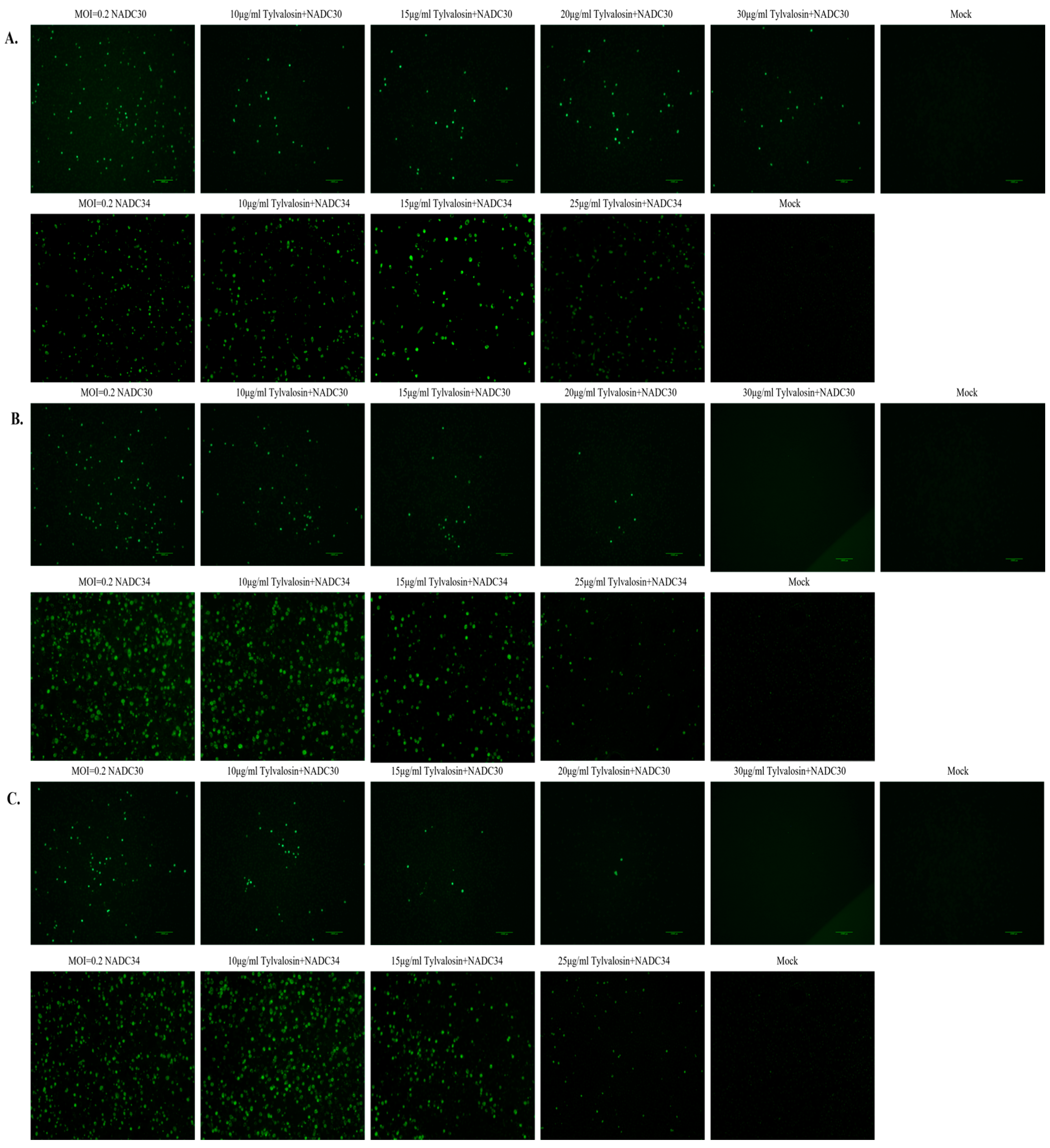 Vetsci 12 00348 g002