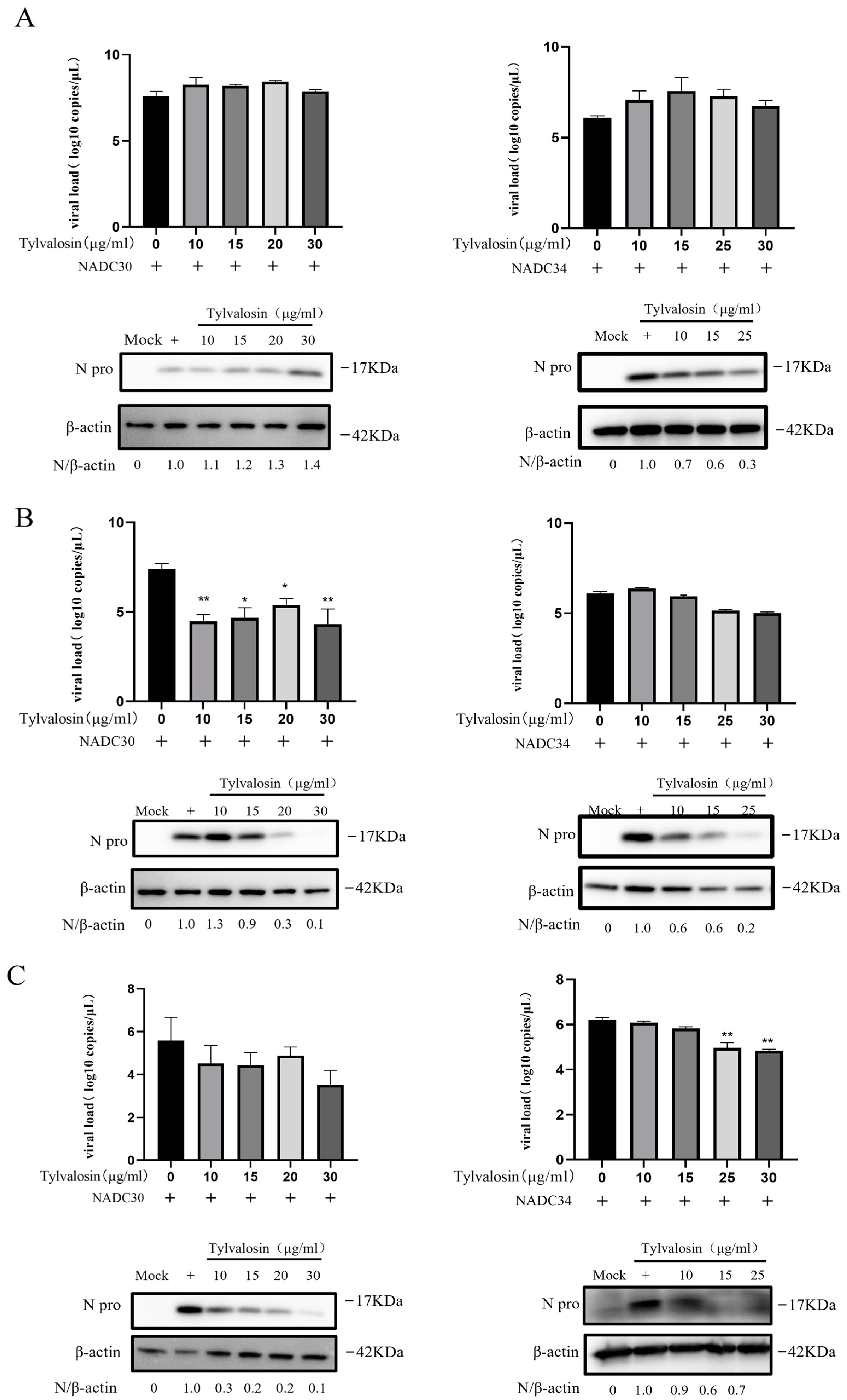 Vetsci 12 00348 g003