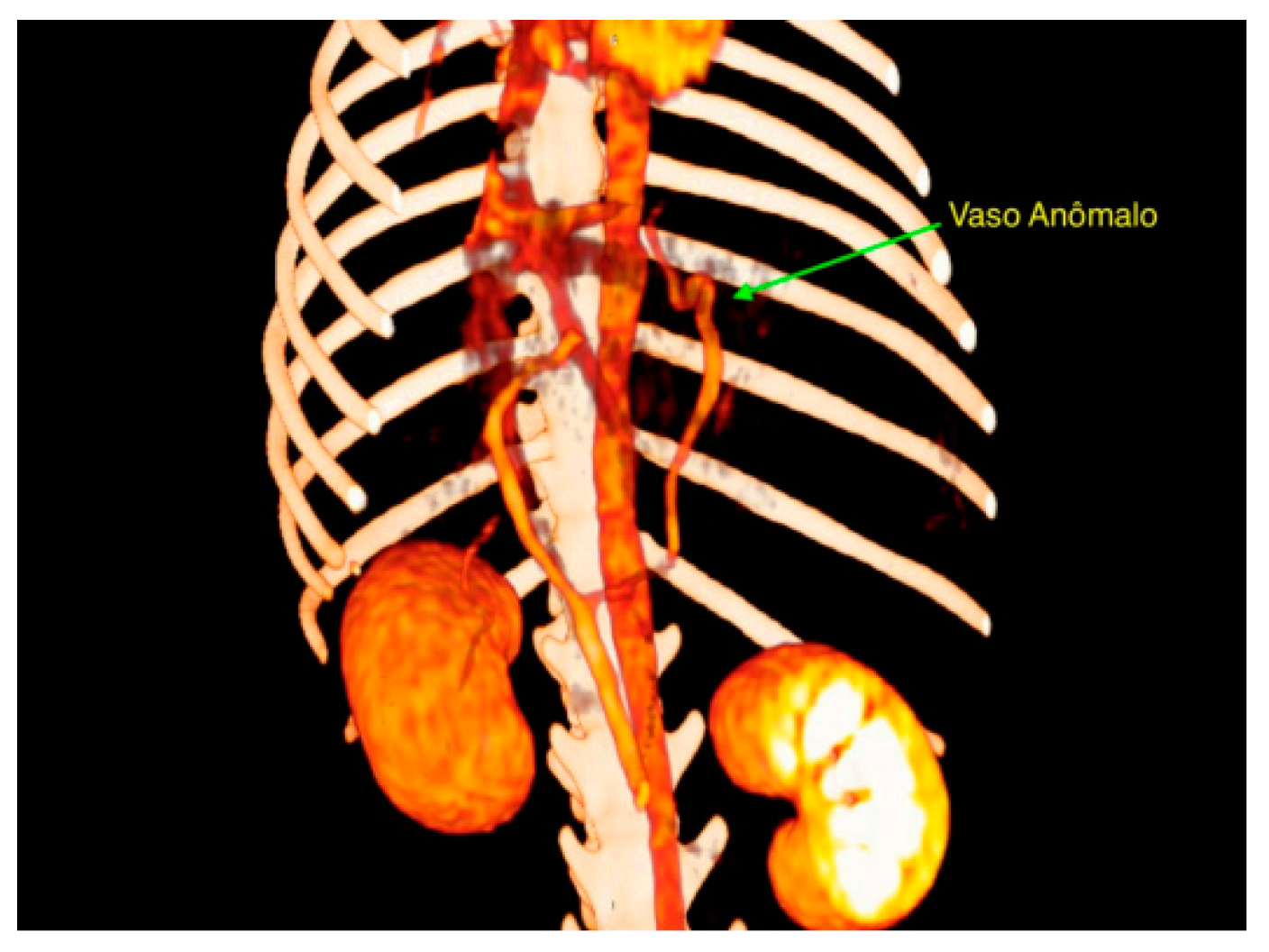 Vetsci 12 00351 g001