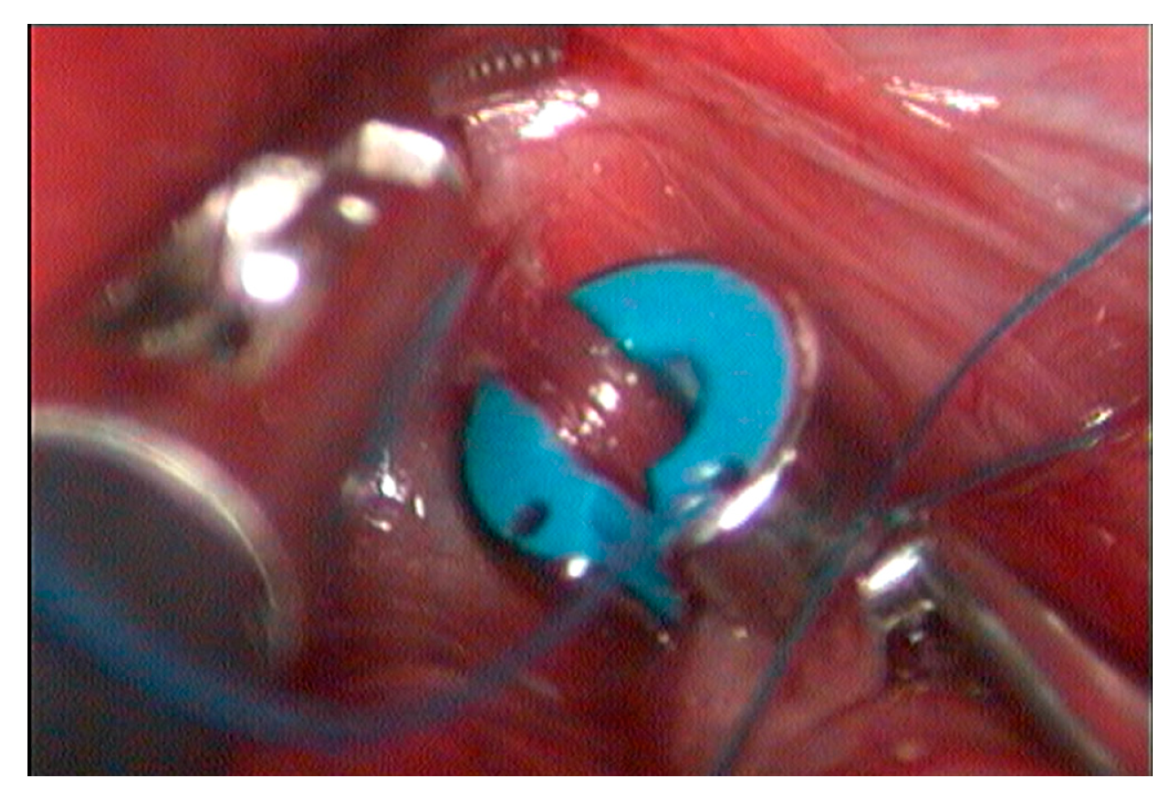 Vetsci 12 00351 g003