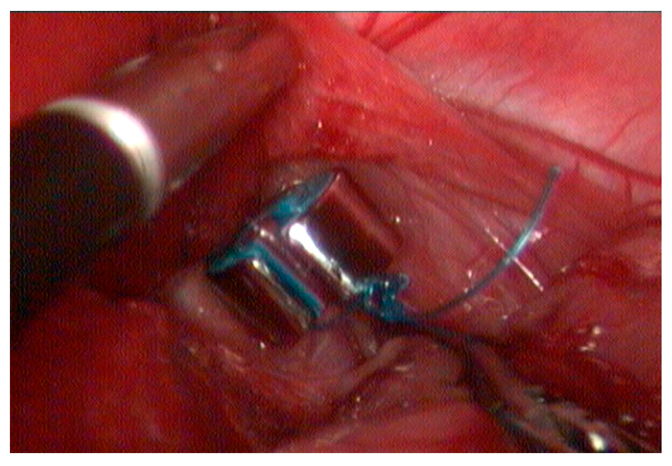 Vetsci 12 00351 g004