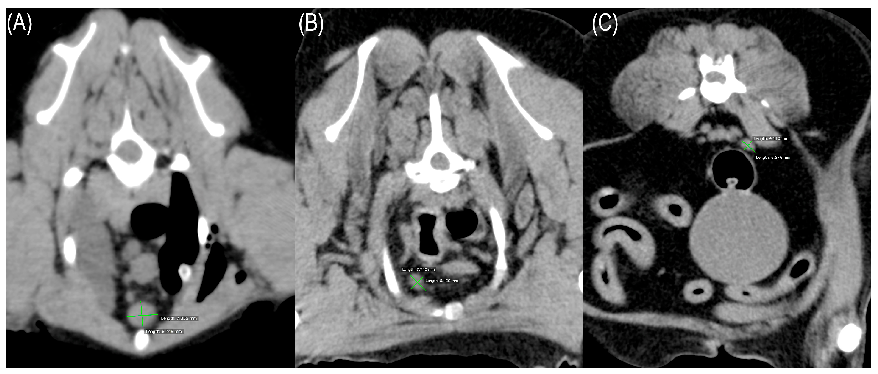 Vetsci 12 00356 g001