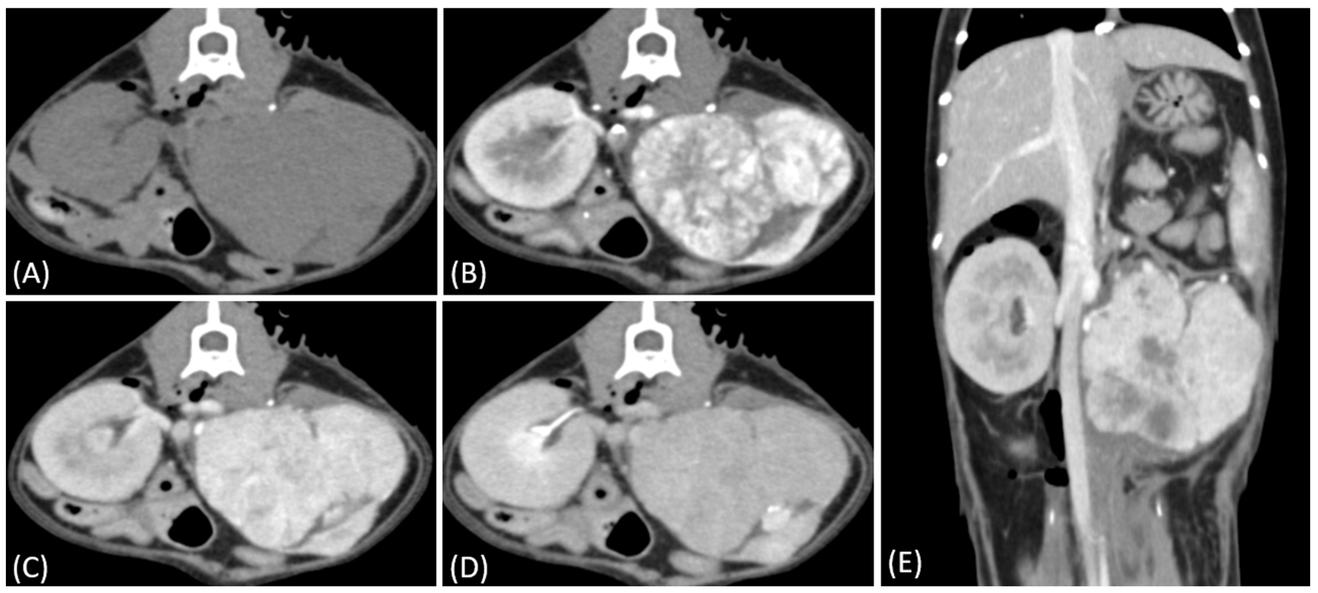 Vetsci 12 00360 g002
