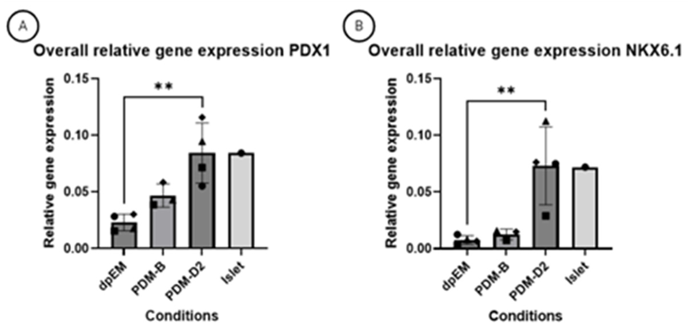 Vetsci 12 00362 g003
