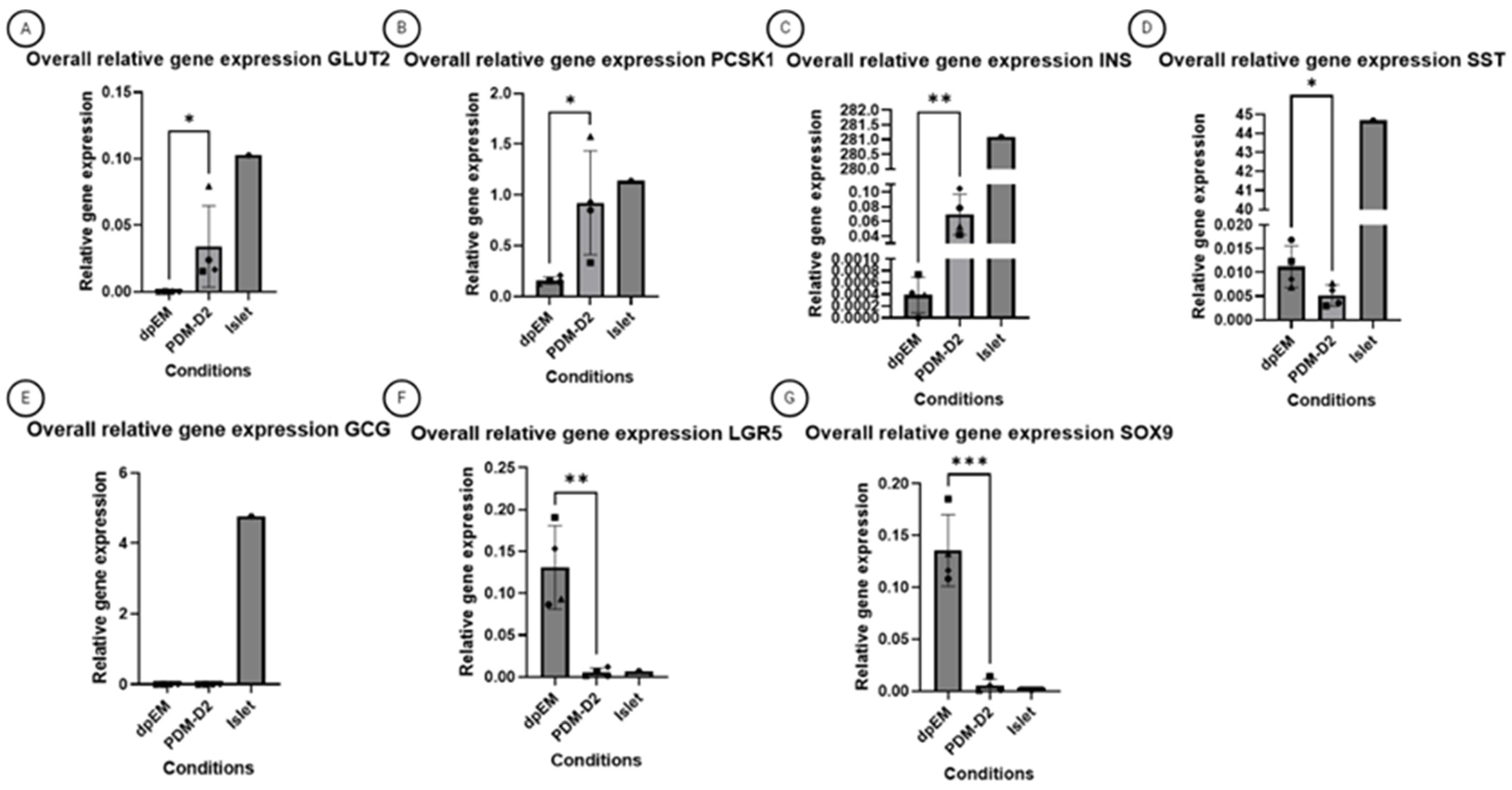 Vetsci 12 00362 g004
