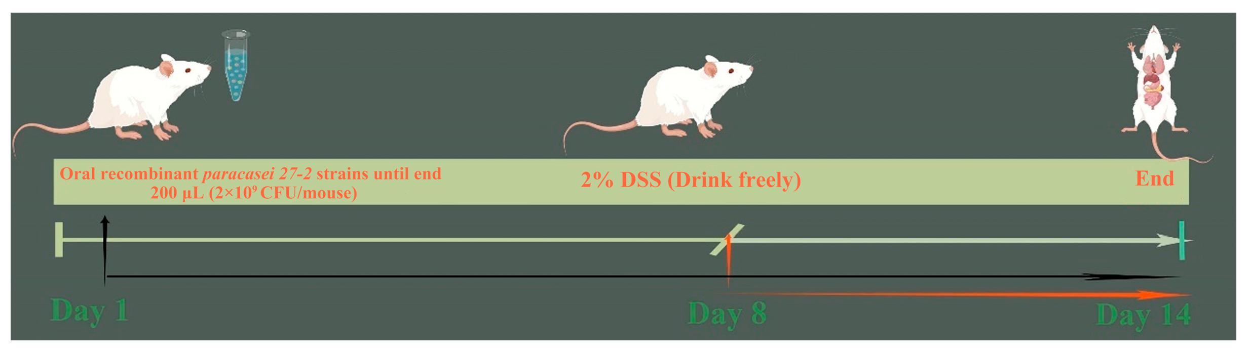 Vetsci 12 00365 g001