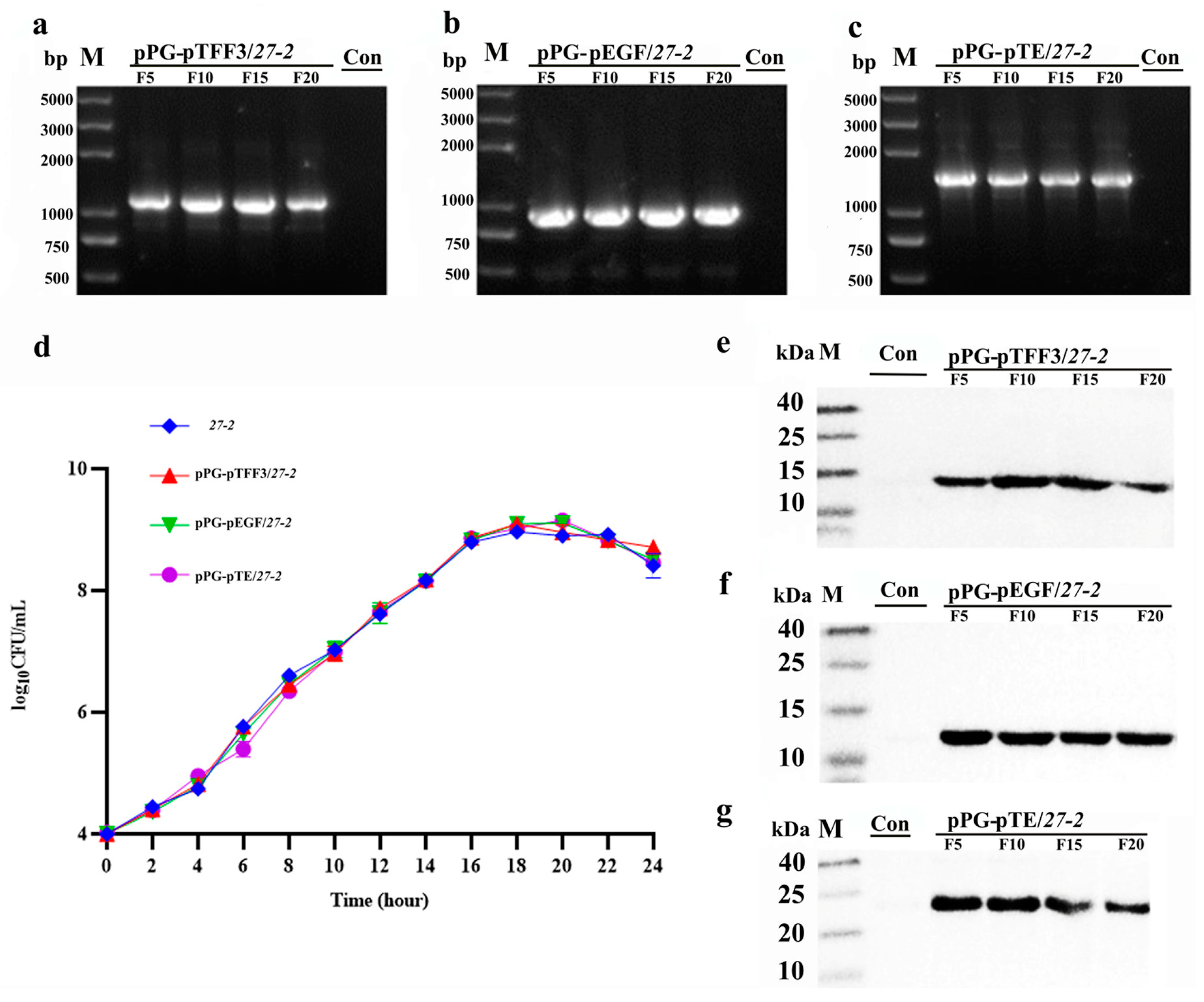 Vetsci 12 00365 g004