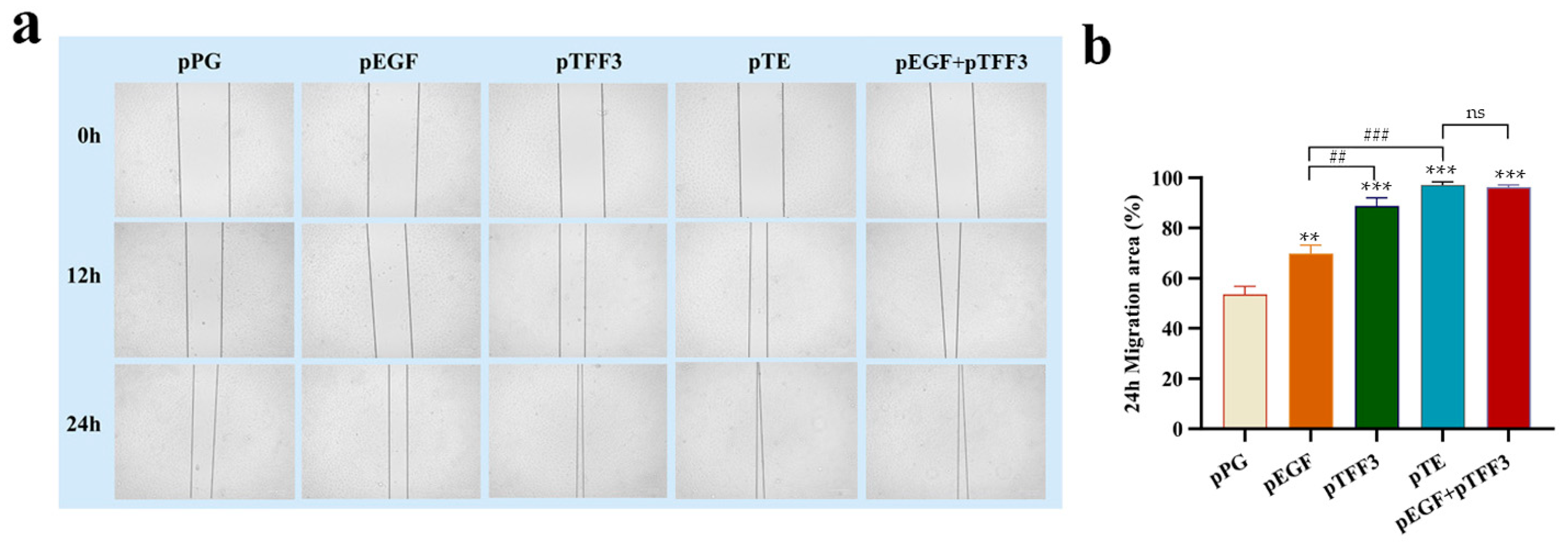 Vetsci 12 00365 g006