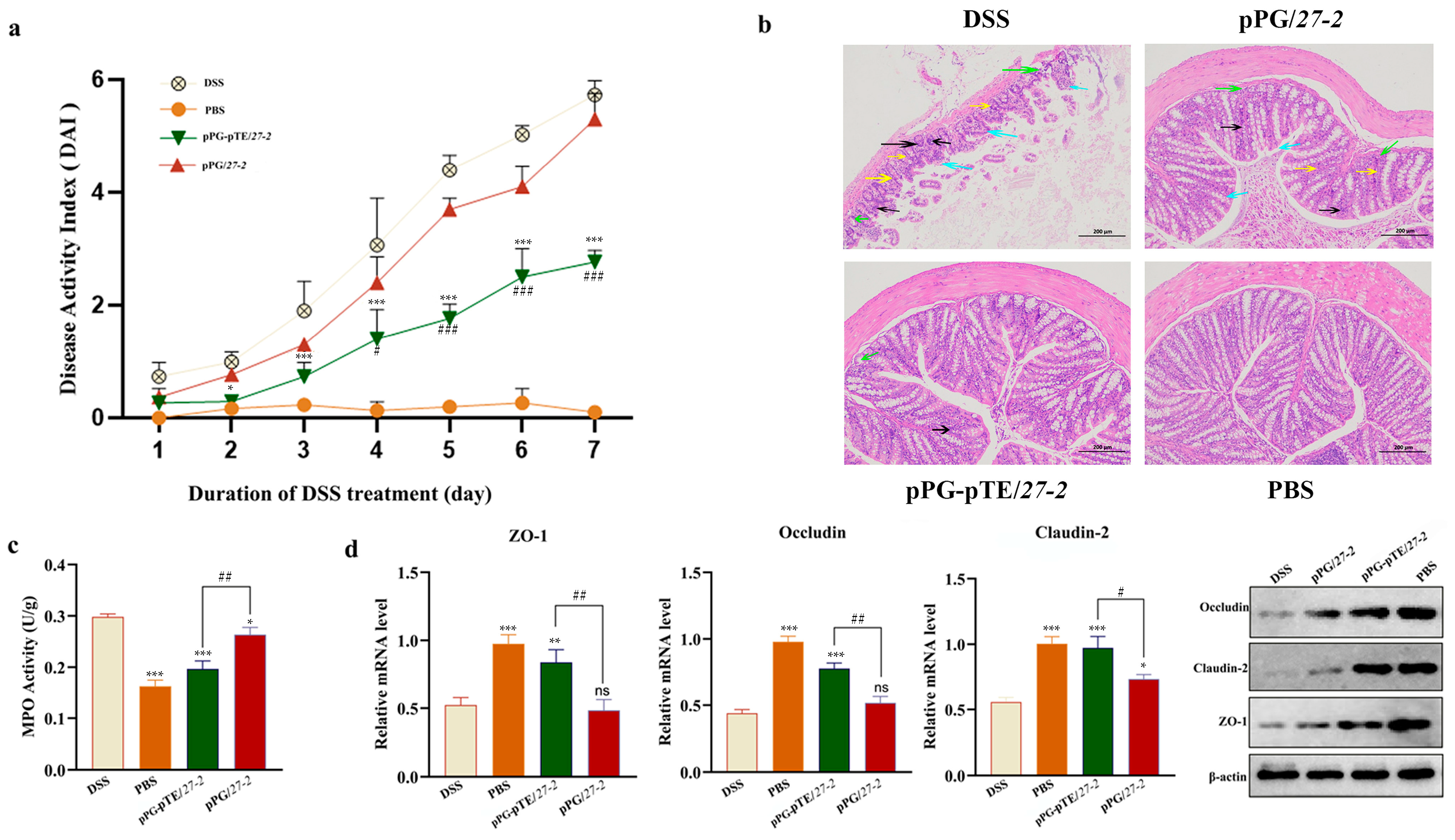 Vetsci 12 00365 g007