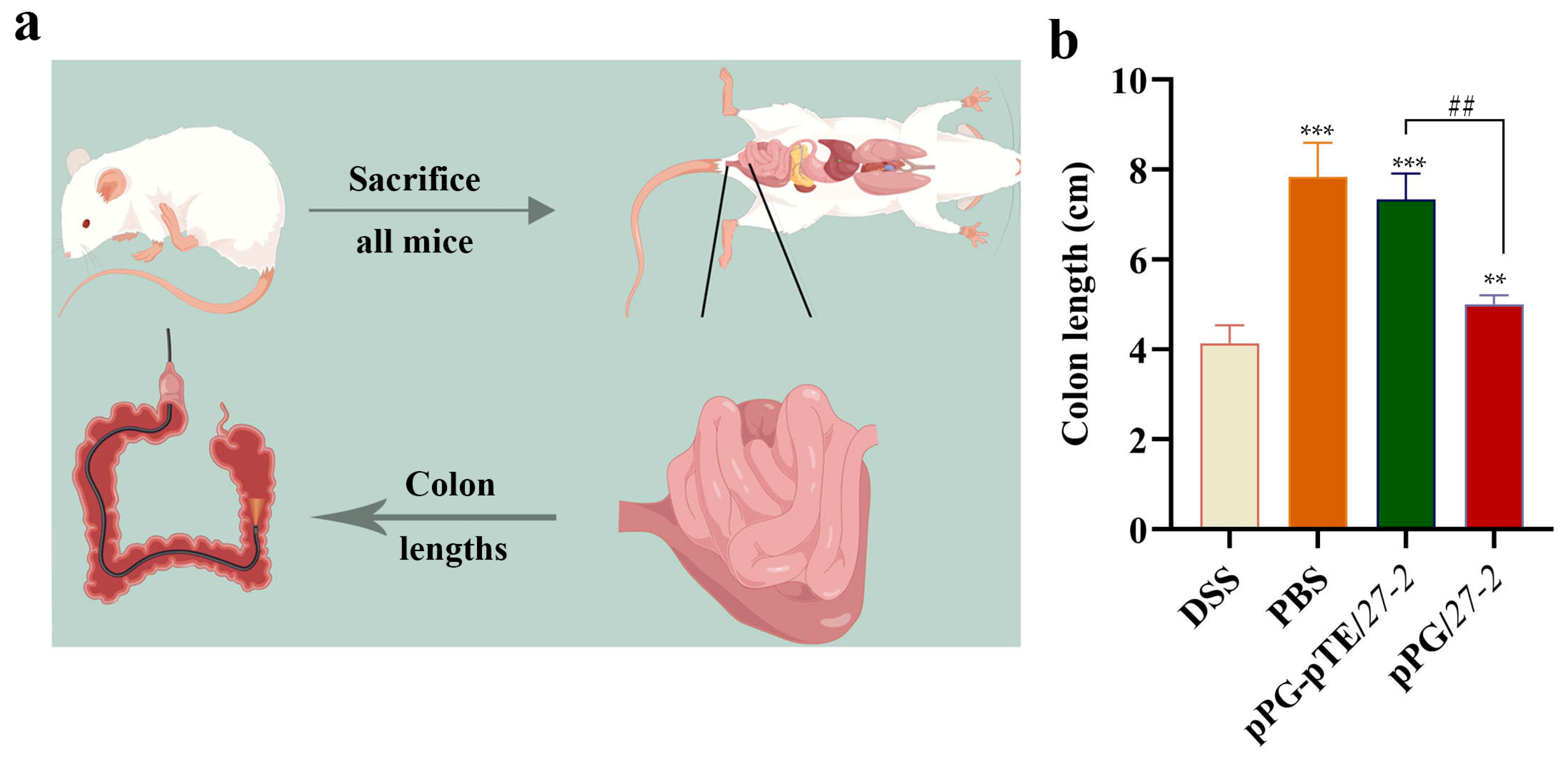 Vetsci 12 00365 g008