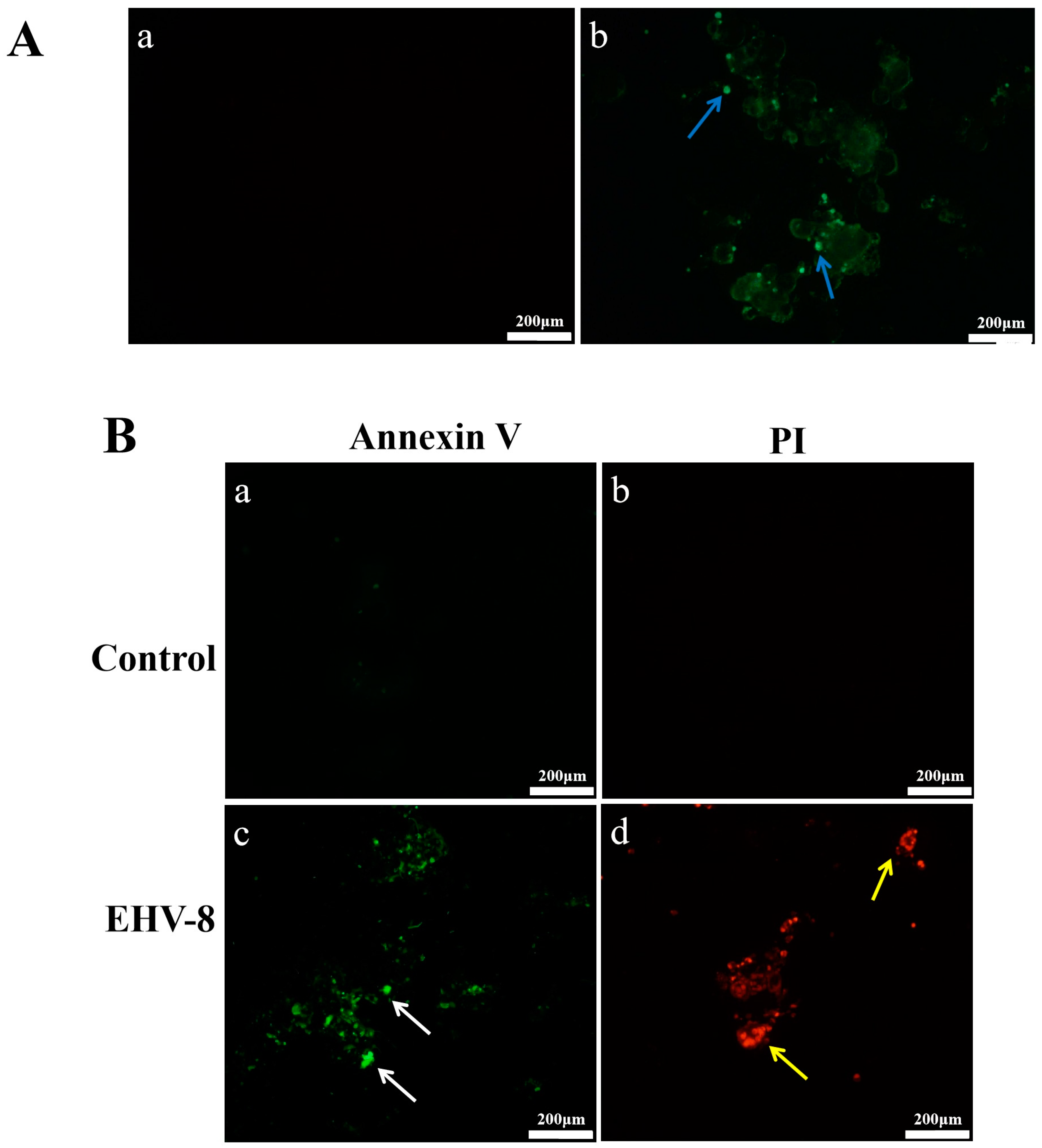 Vetsci 12 00367 g003