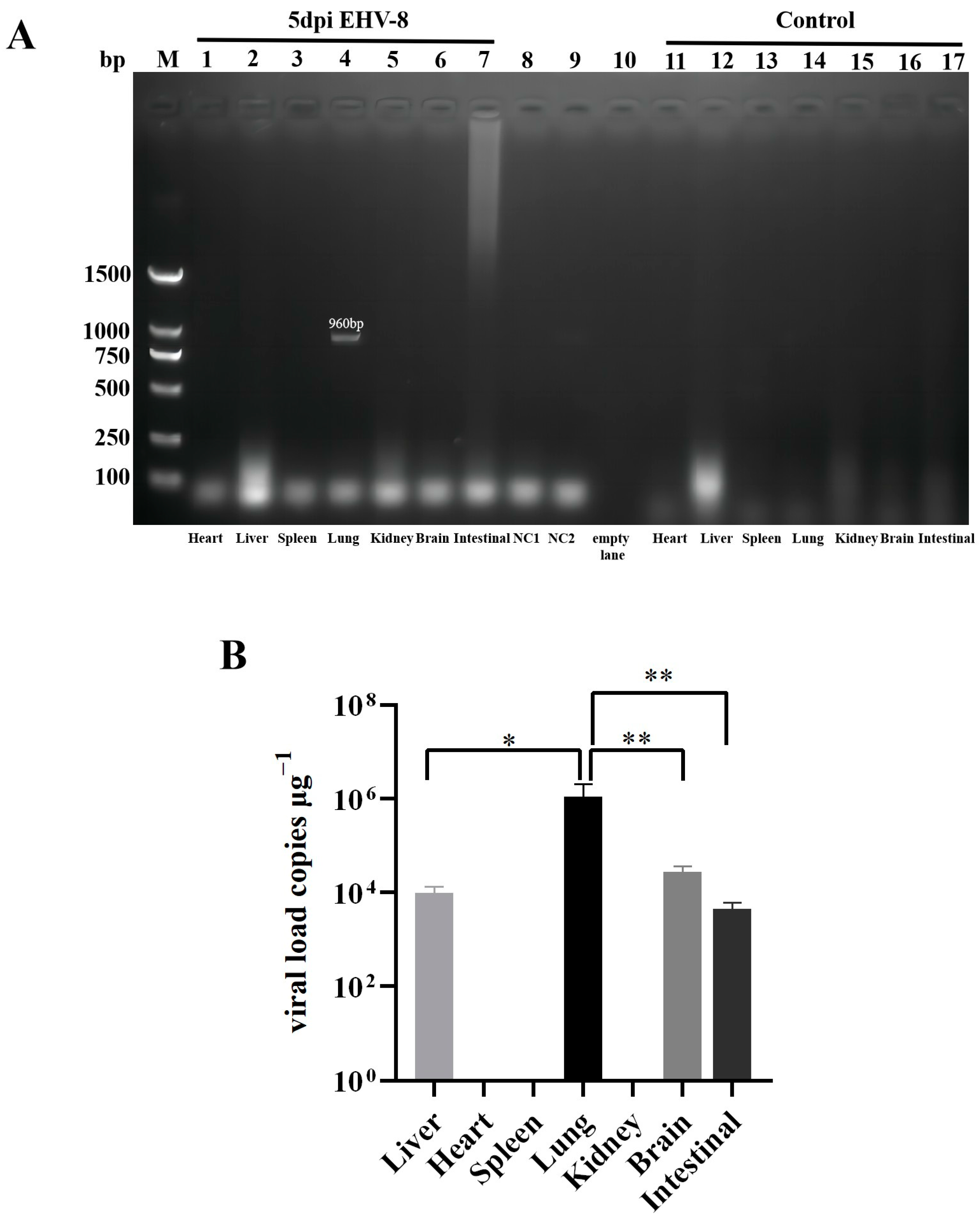 Vetsci 12 00367 g007
